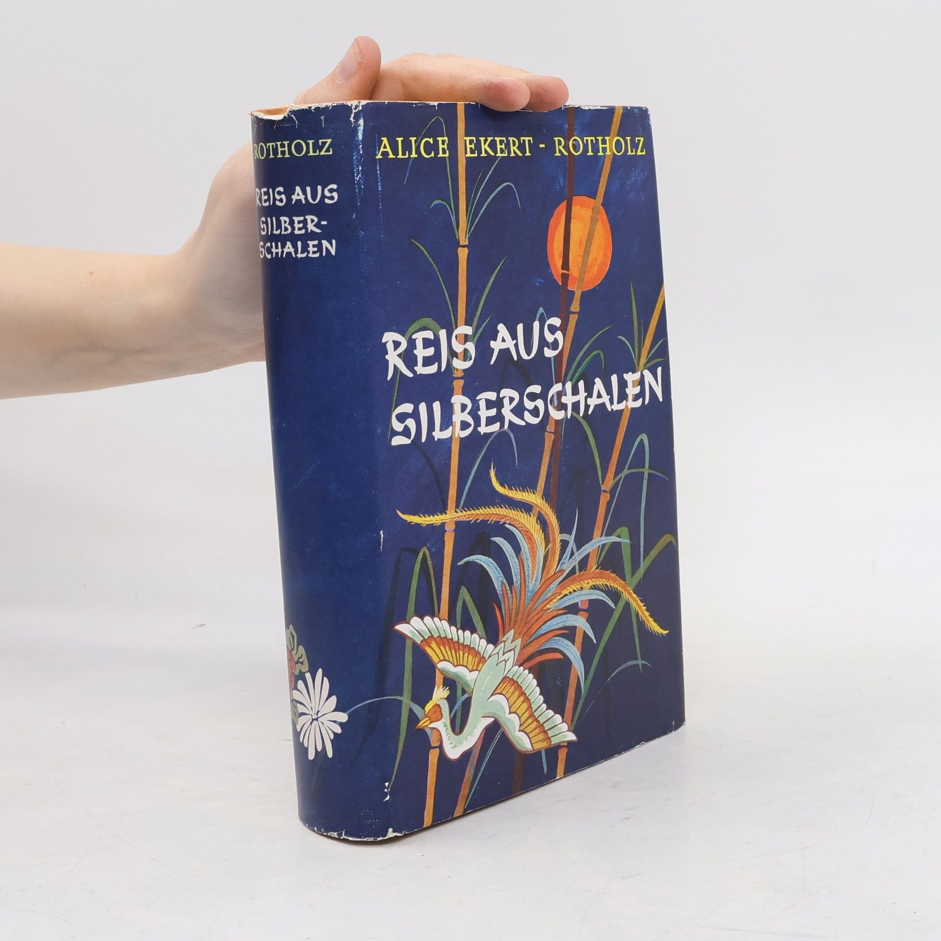 Alice Ekert-Rotholz Reis aus Silberschalen