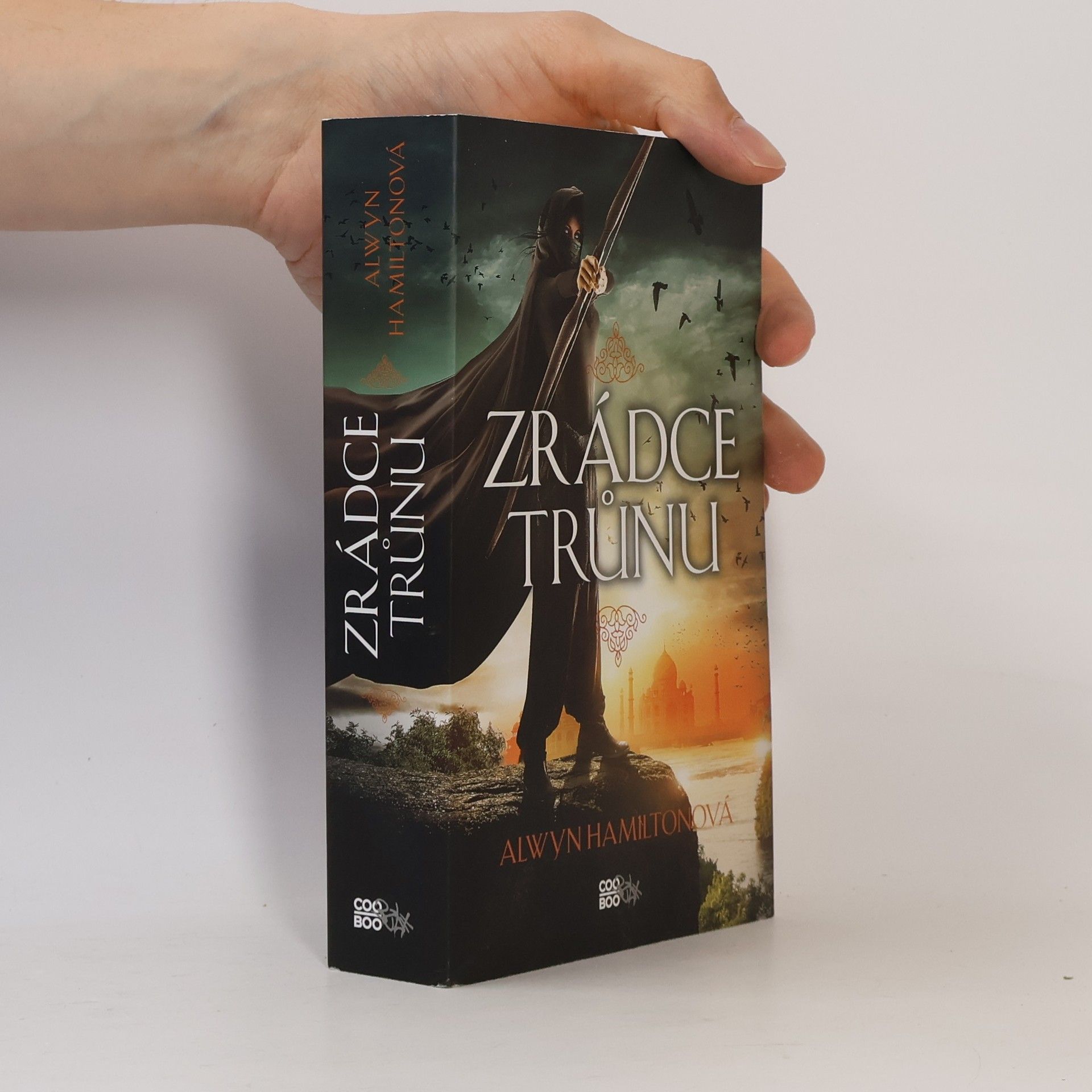 Alwyn Hamilton Zrádce trůnu