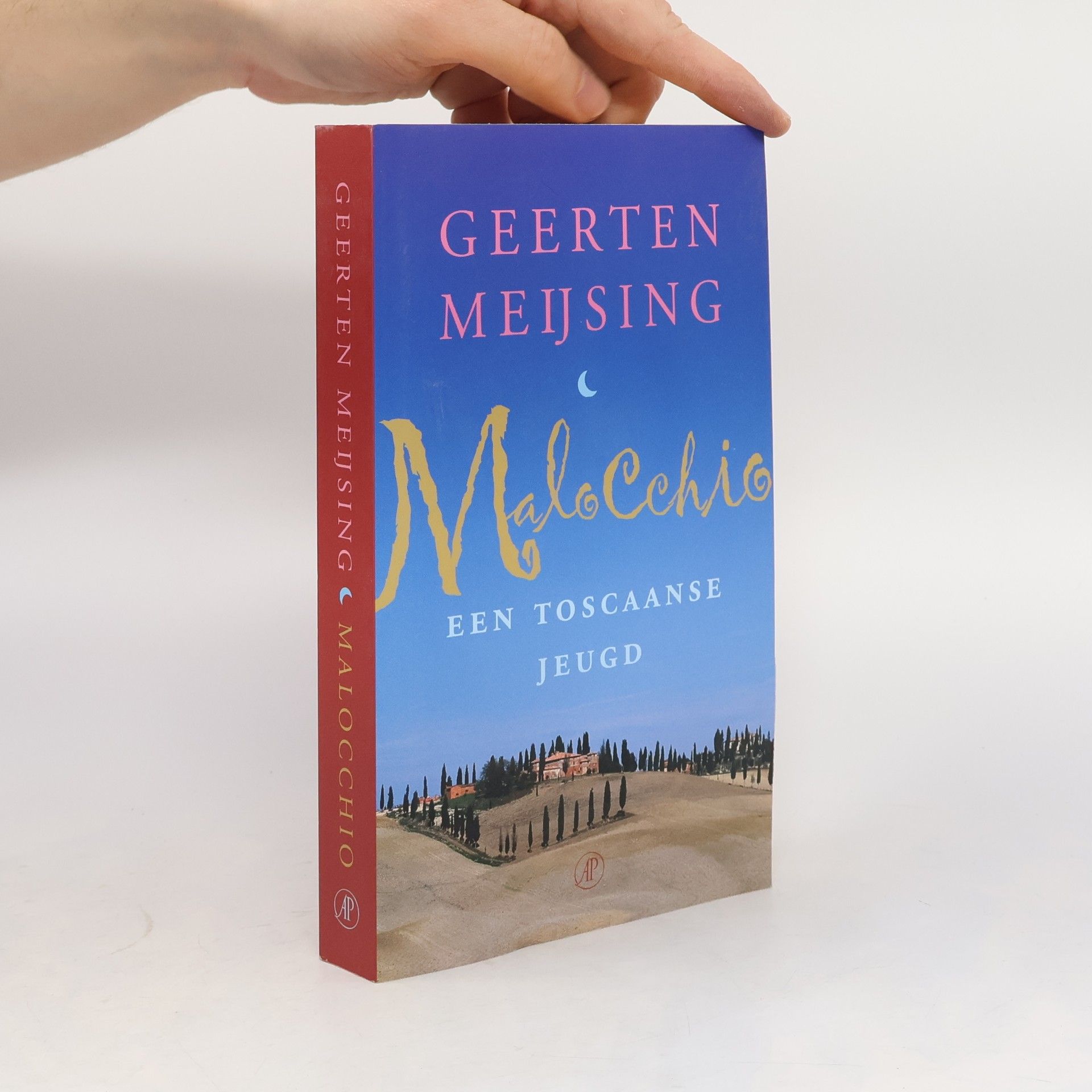 Geerten Jan Maria Meijsing Malocchio