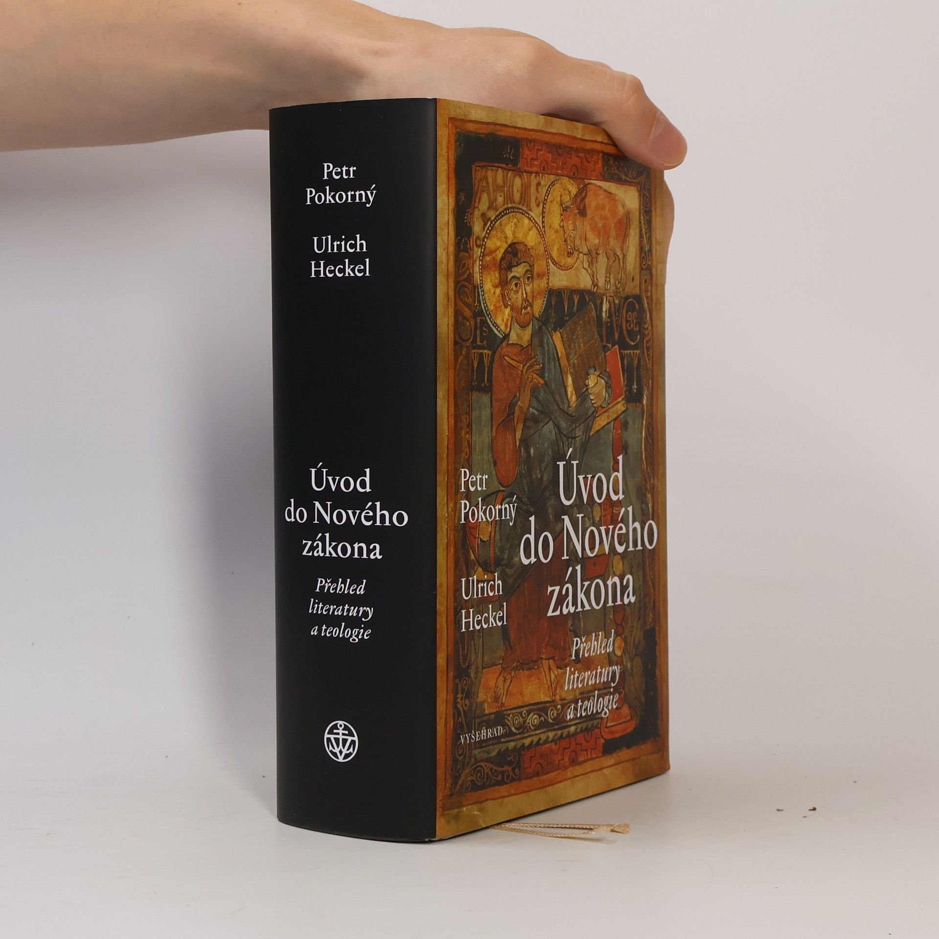 Ulrich Heckel Úvod do Nového zákona : Přehled literatury a teologie