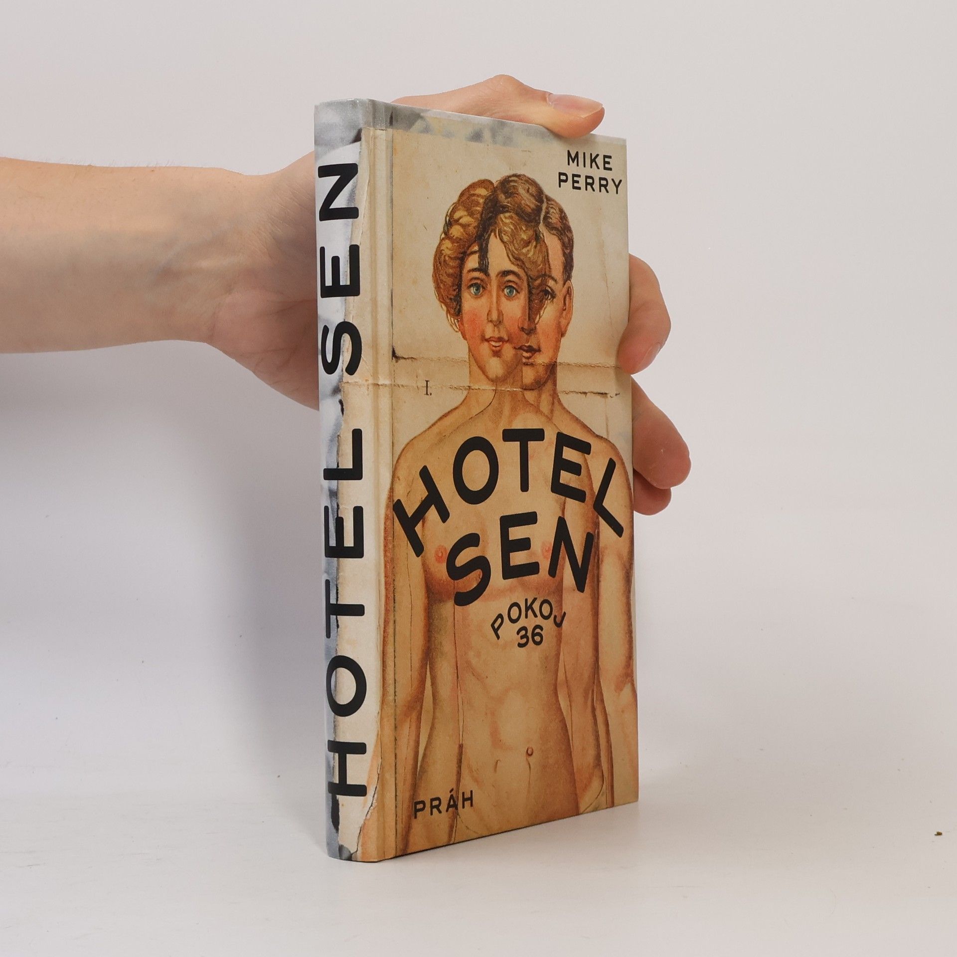 Mike Perry Hotel Sen : pokoj 36