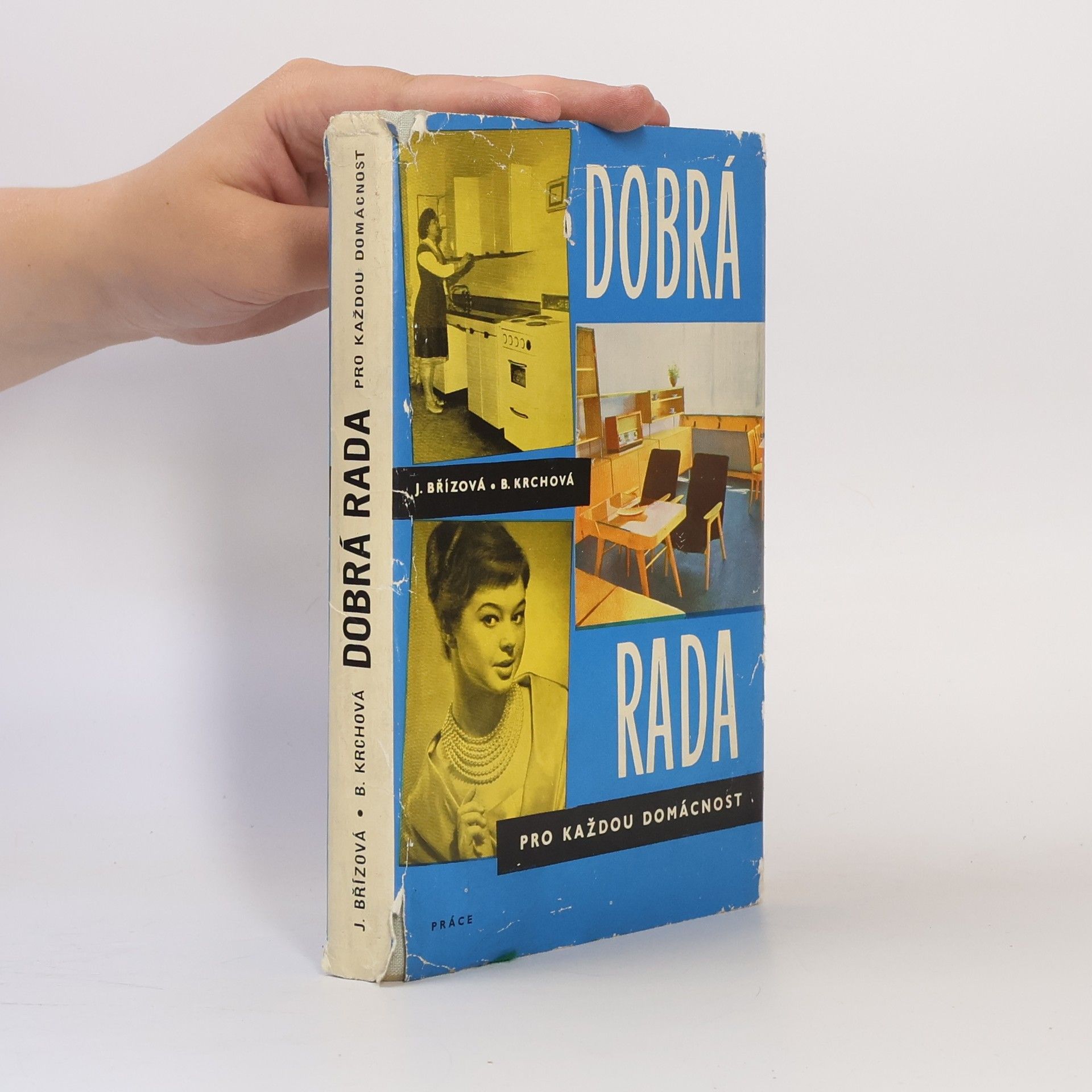 Joza Břízová Dobrá rada pro každou domácnost