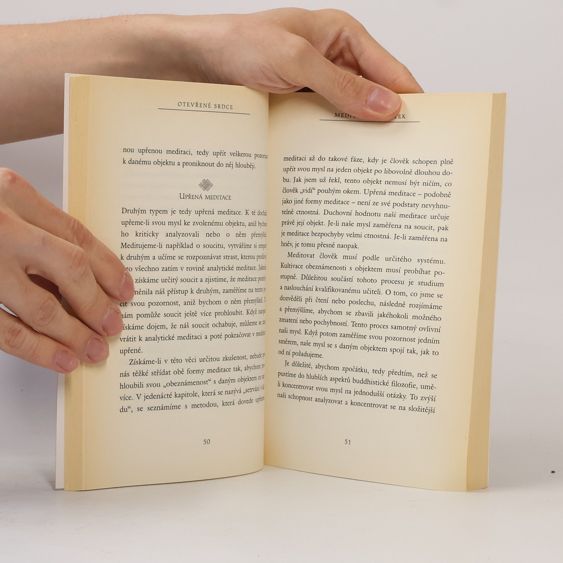 Nicholas Vreeland Otevřené srdce. Soucítění v denním životě