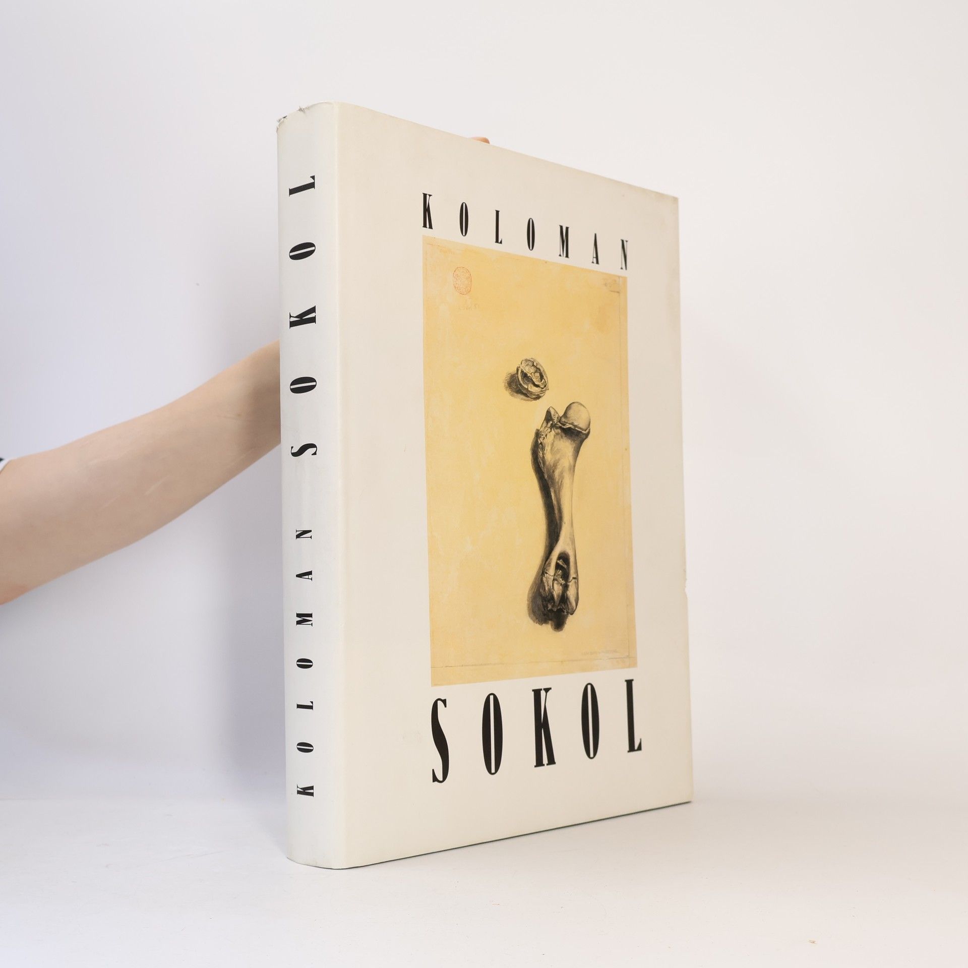 Collectif d'auteurs Koloman Sokol - Sambo