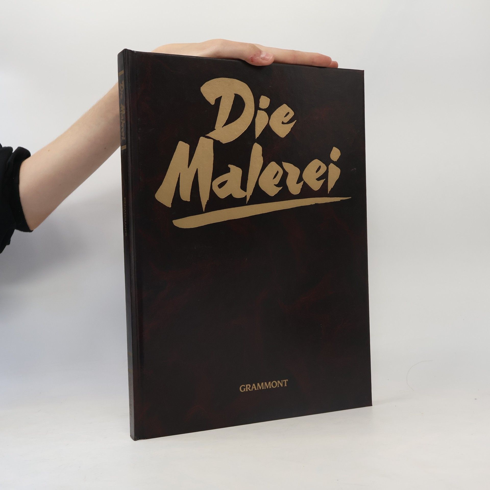 Kolektiv autorů Die Malerei 4. Renaissance