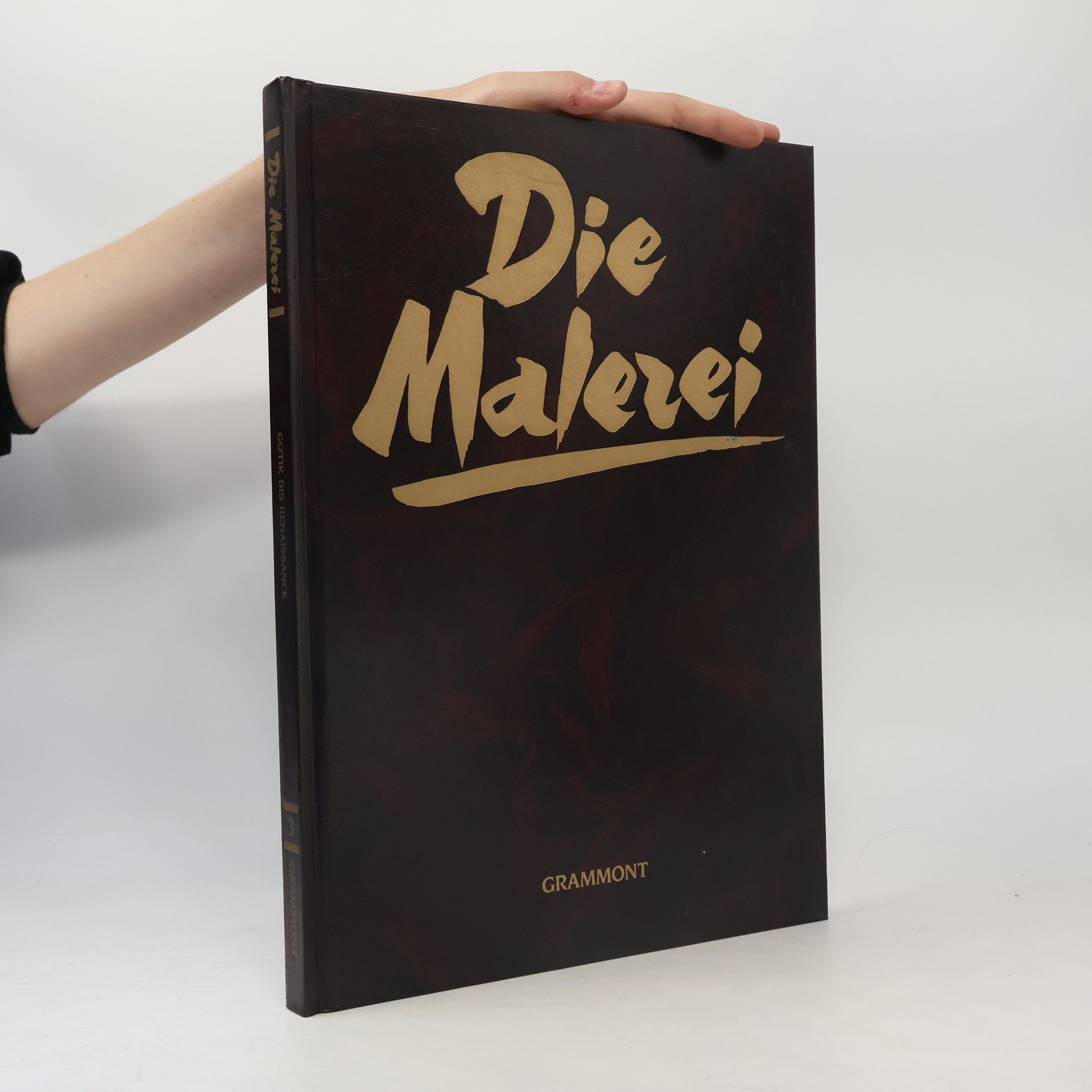 Autorenkollektiv Die Malerei 3. Gotik bis Renaissance