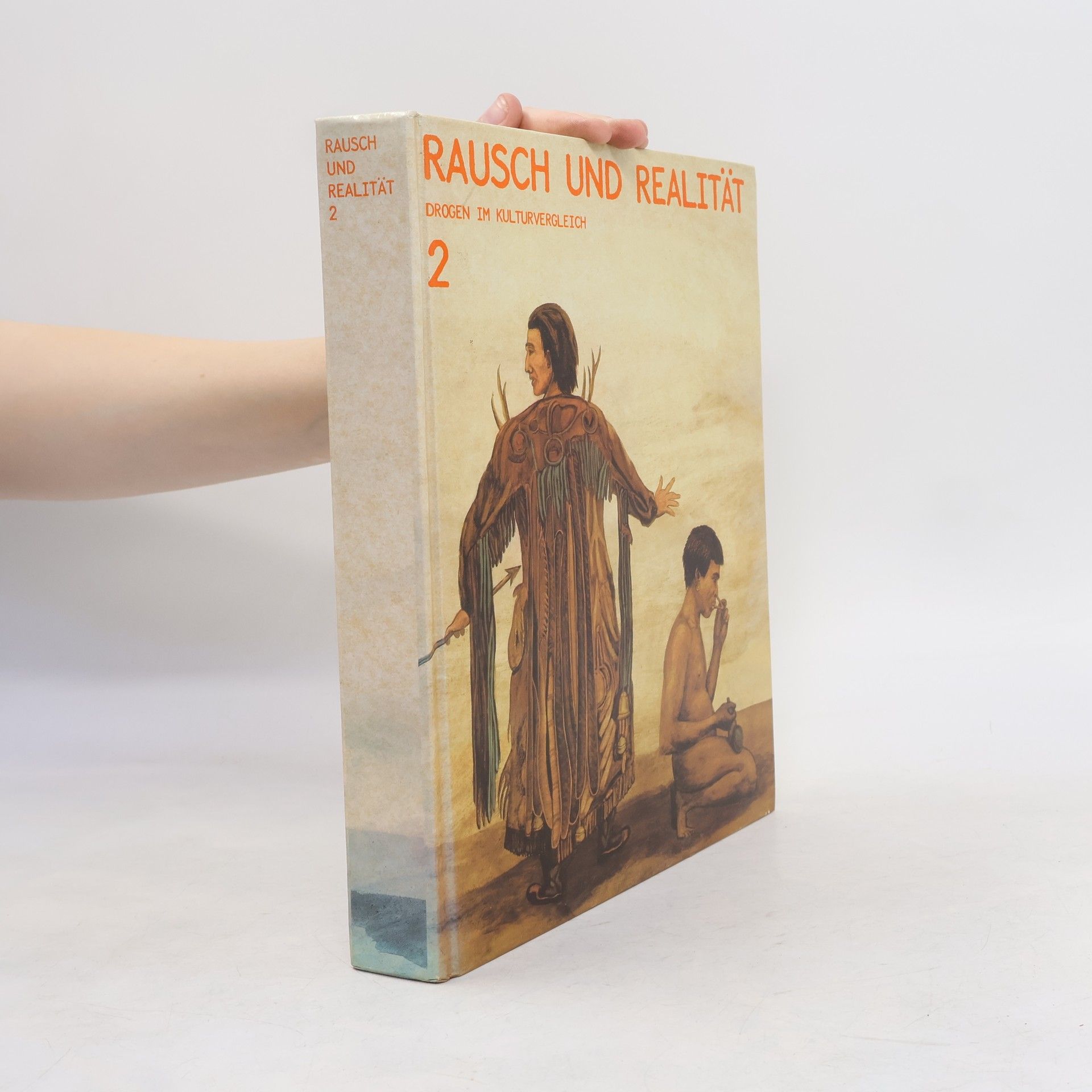 Collectif d'auteurs Rausch und Realität 2