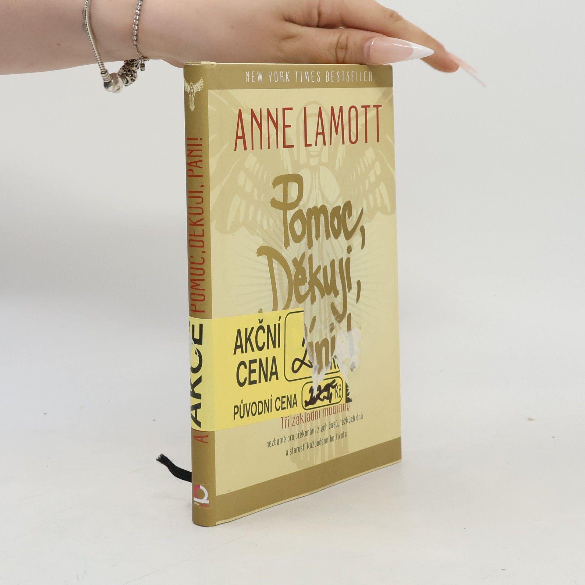 Anne Lamott Pomoc, Děkuji, Páni!