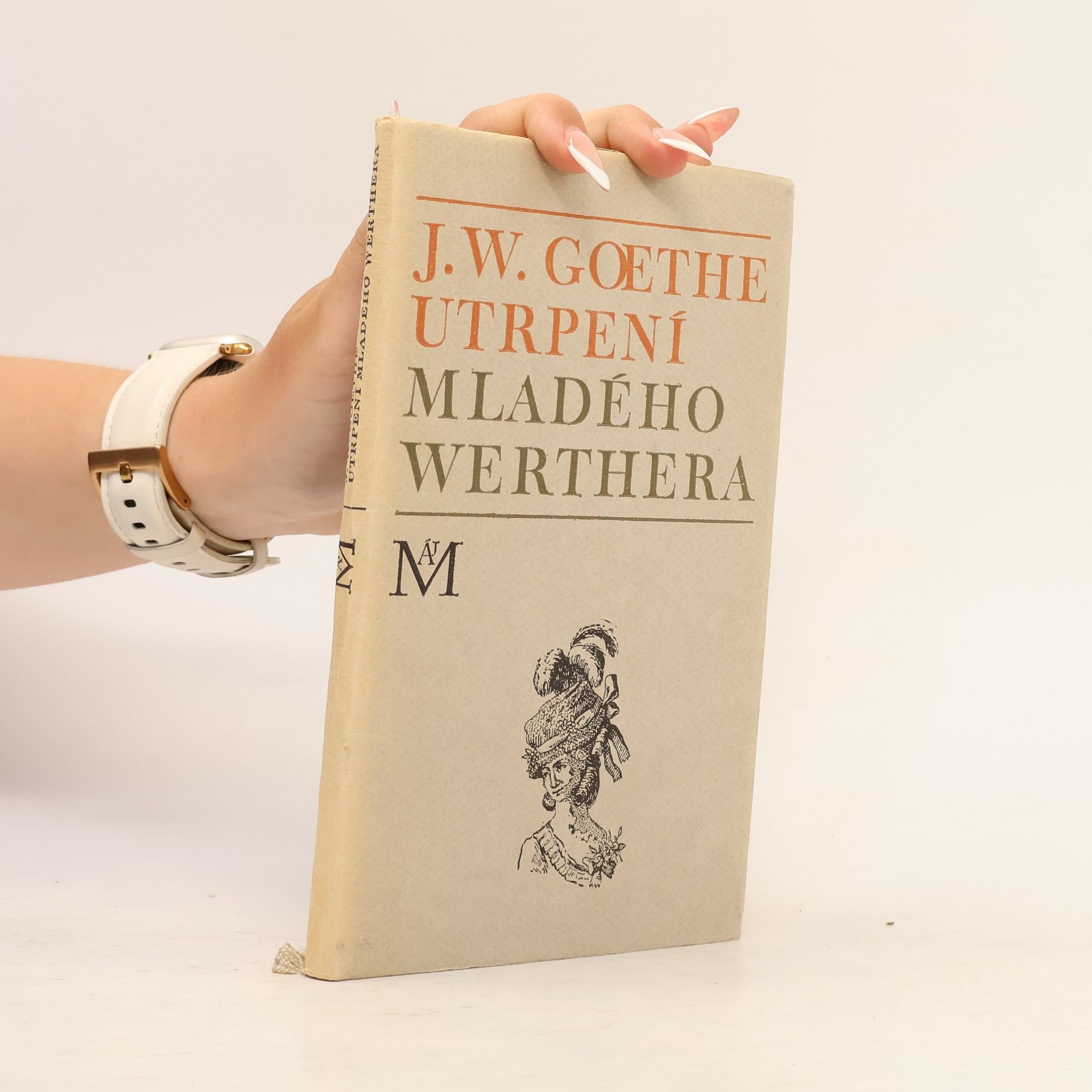 Johann Wolfgang von Goethe Utrpení mladého Werthera