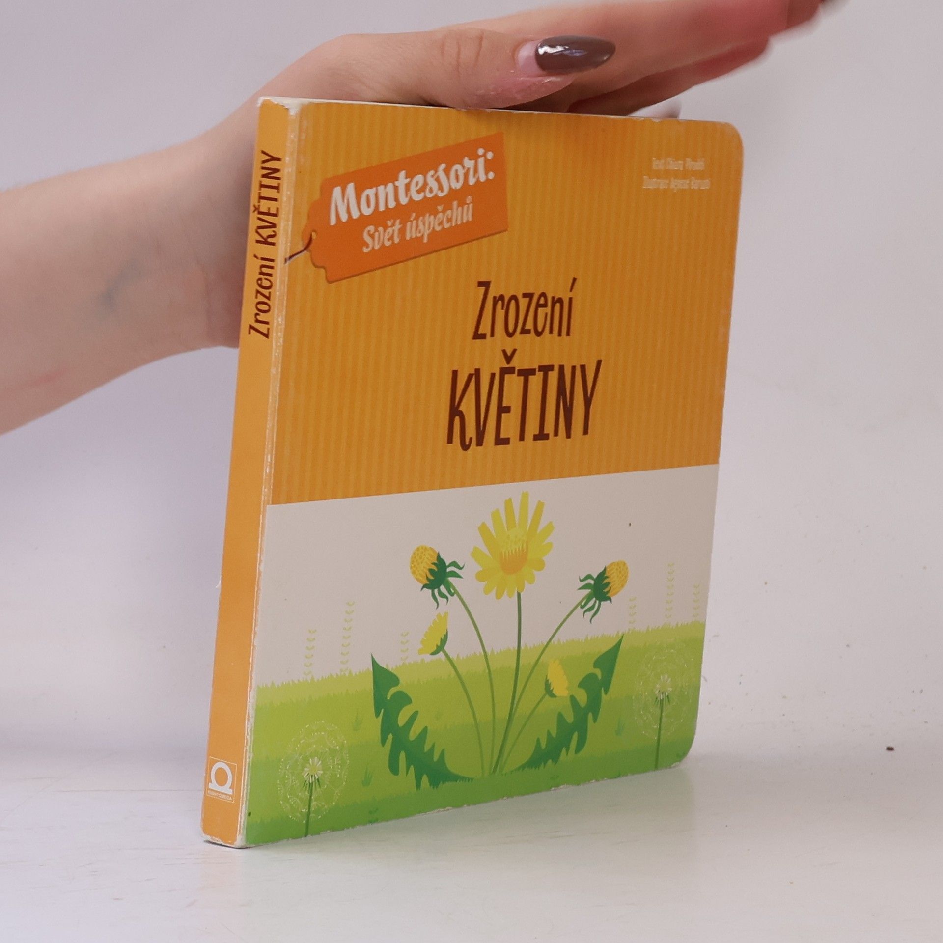 Chiara Piroddi Zrození květiny