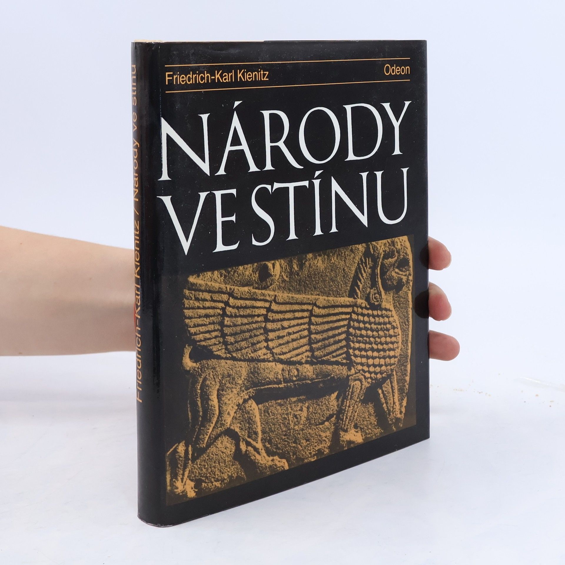 Friedrich Karl Kienitz Národy ve stínu
