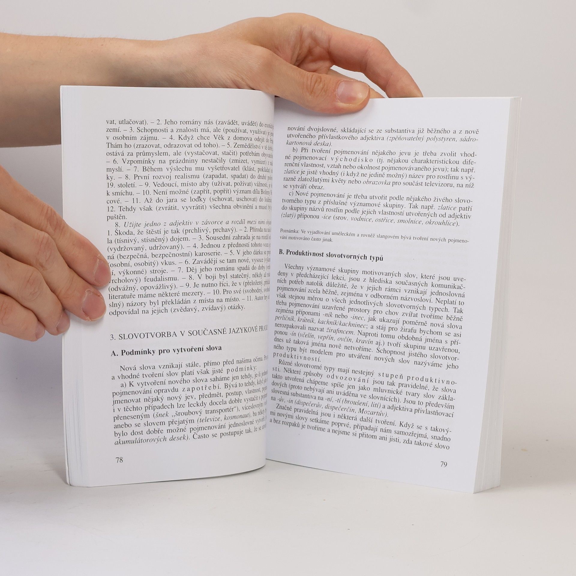 Autorenkollektiv Český jazyk pro střední školy I.-IV. ročník
