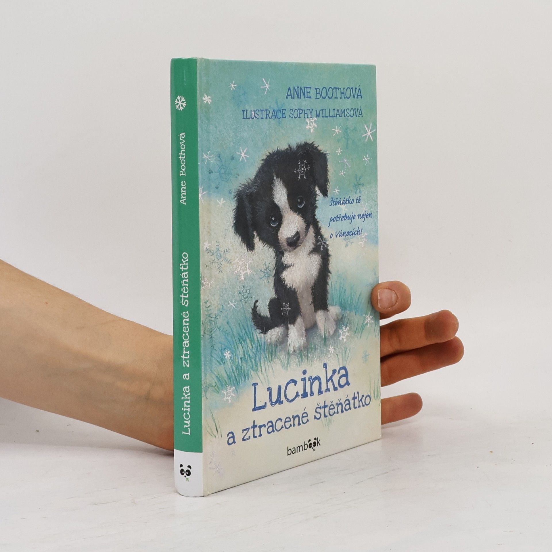 Anne Booth Lucinka a ztracené štěňátko