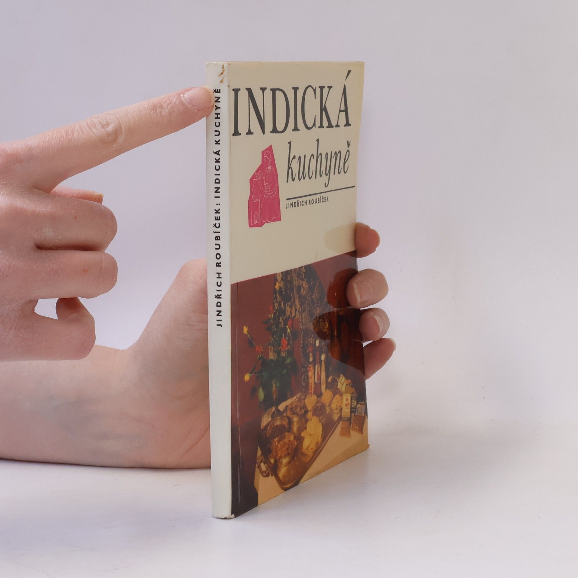 Jindřich Roubíček Indická kuchyně
