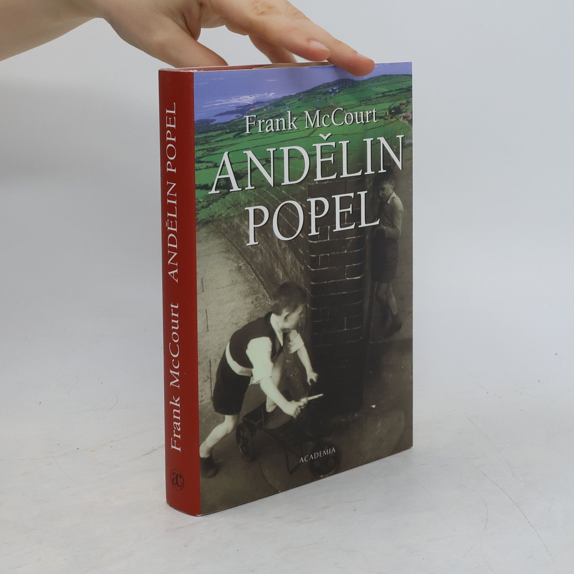 Frank McCourt Andělin popel