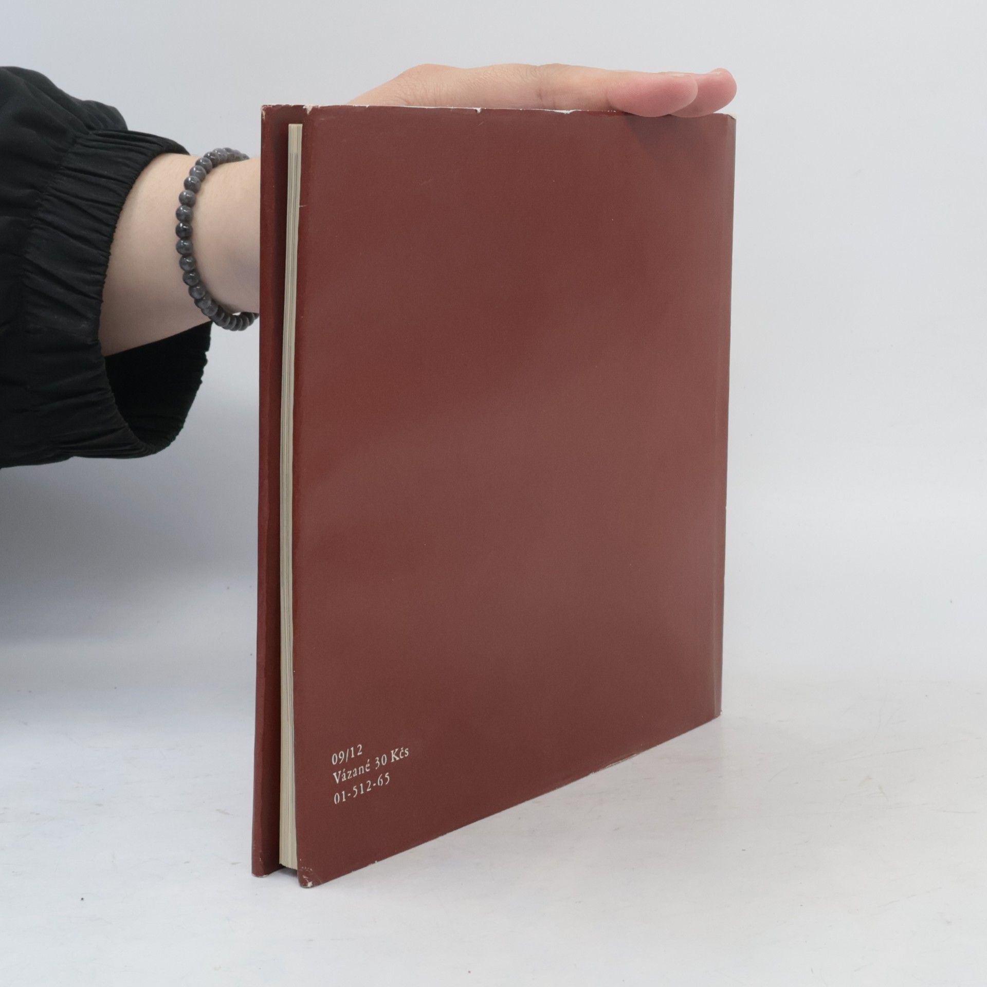 Jaromír Neumann Pieter Bruegel