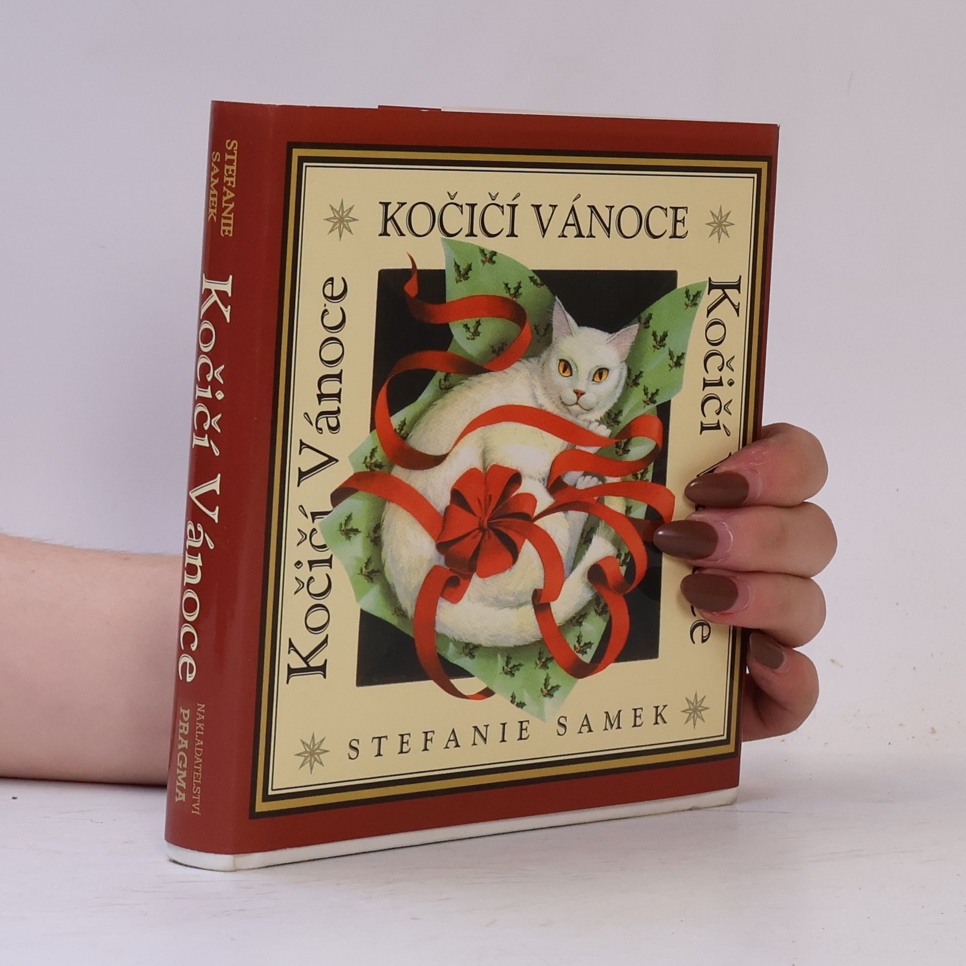 Stefanie Samek Kočičí vánoce