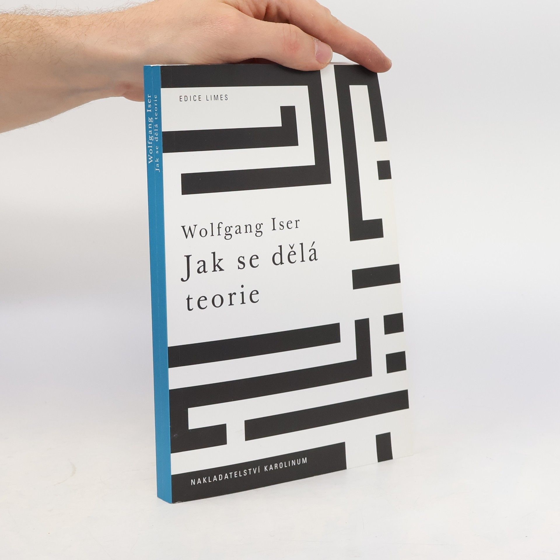 Wolfgang Iser Jak se dělá teorie