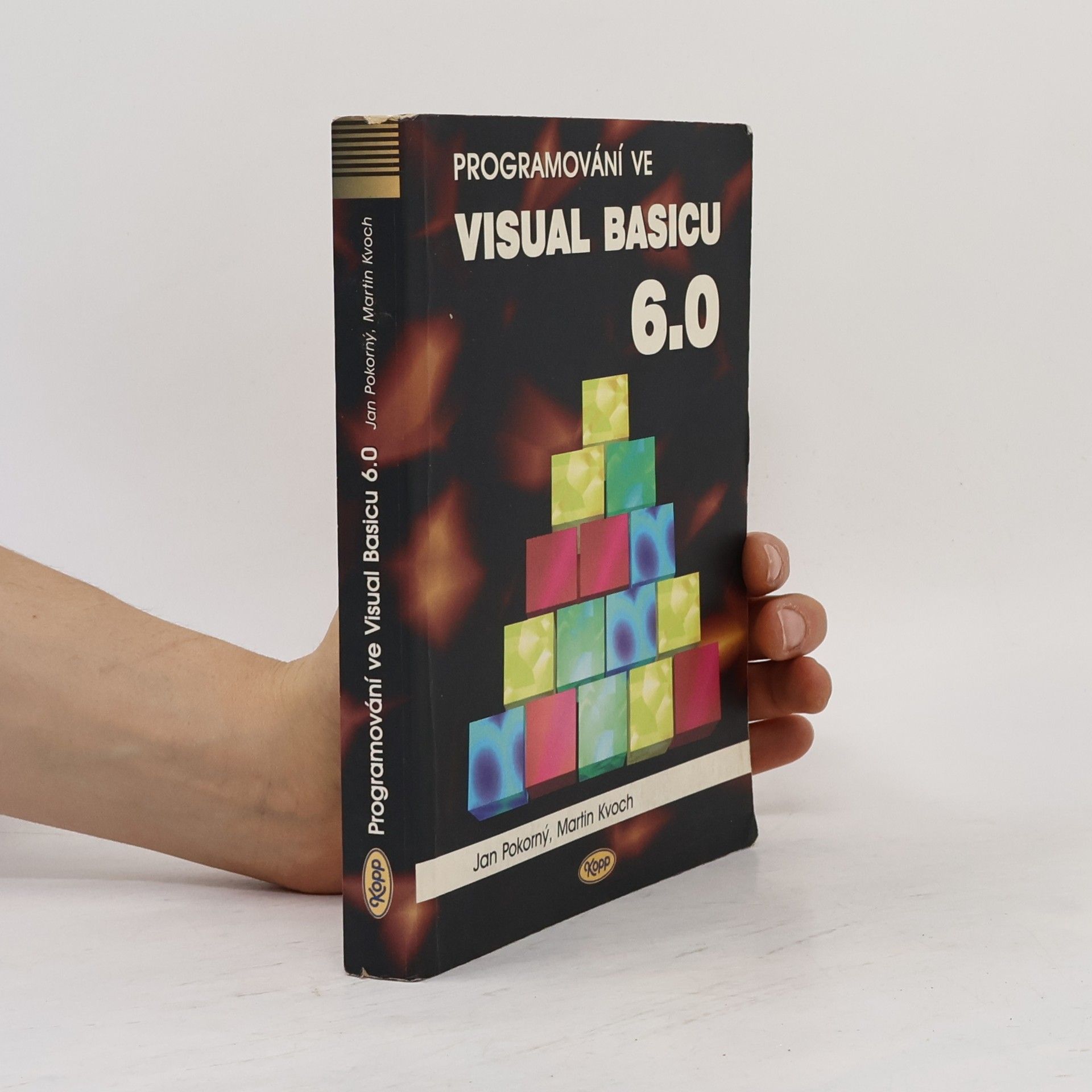 Martin Kvoch Programování ve Visual Basicu 6.0