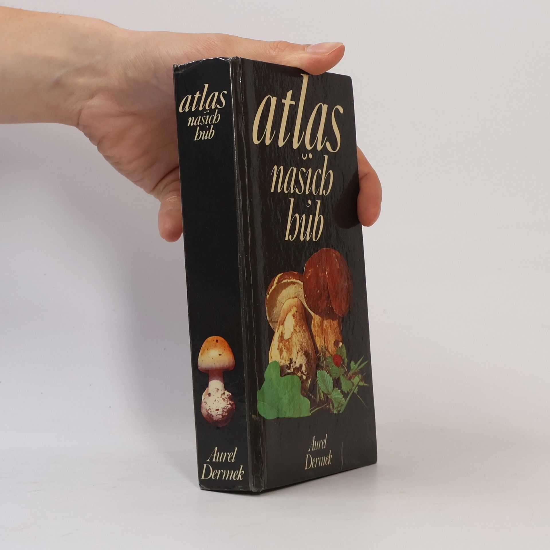 Aurel Dermek Atlas našich húb