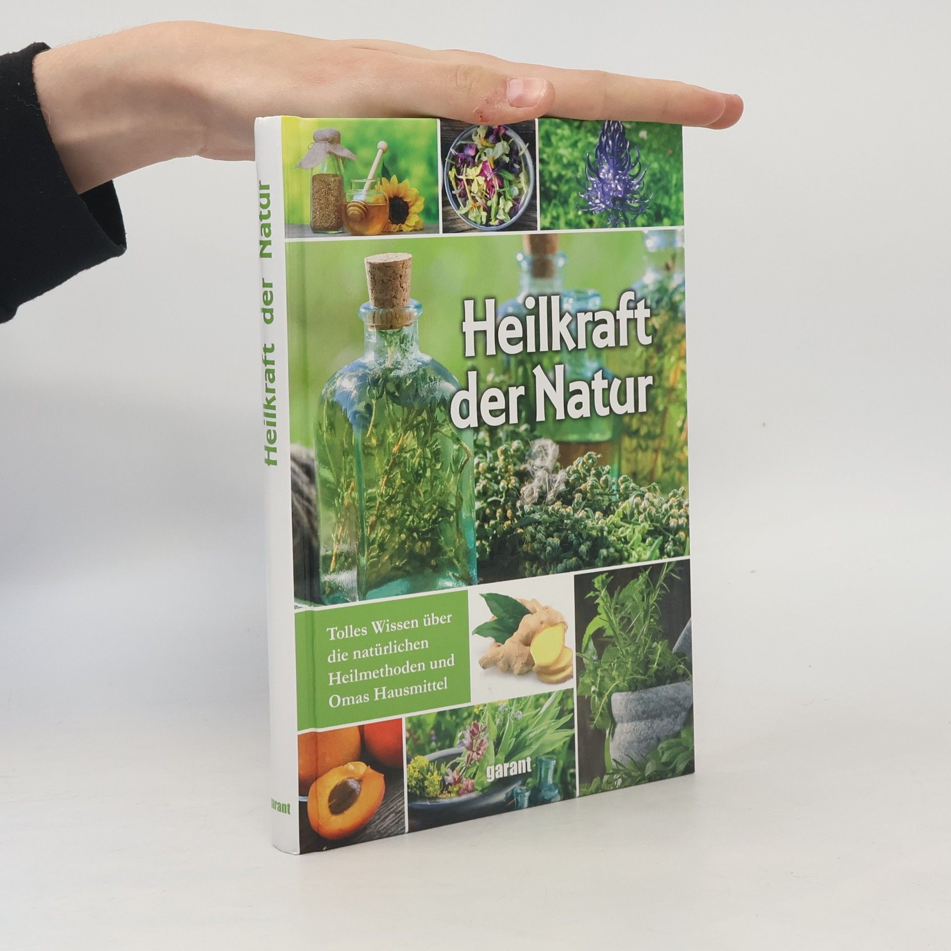 Susanne Lamprecht Heilkraft der Natur