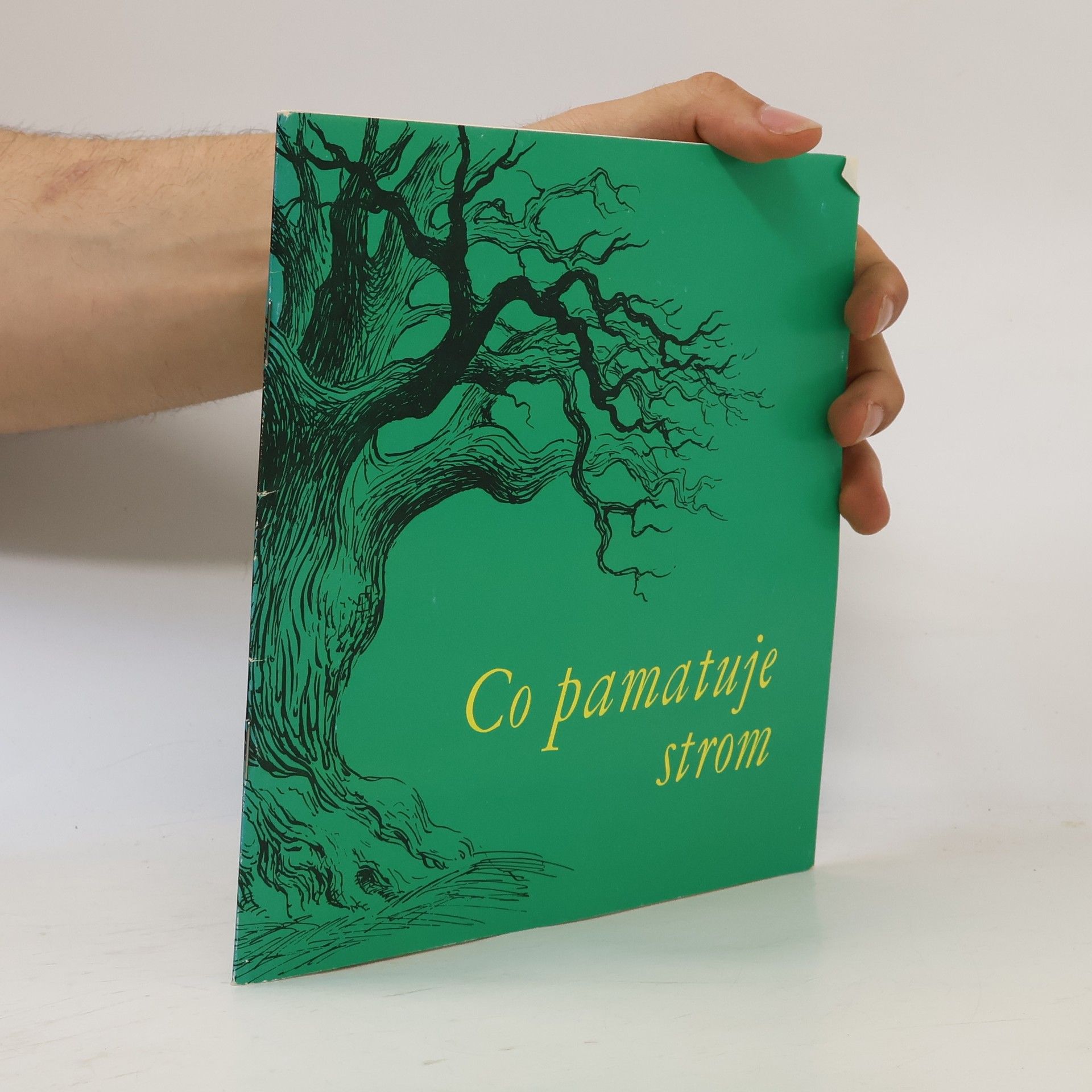 Co pamatuje strom