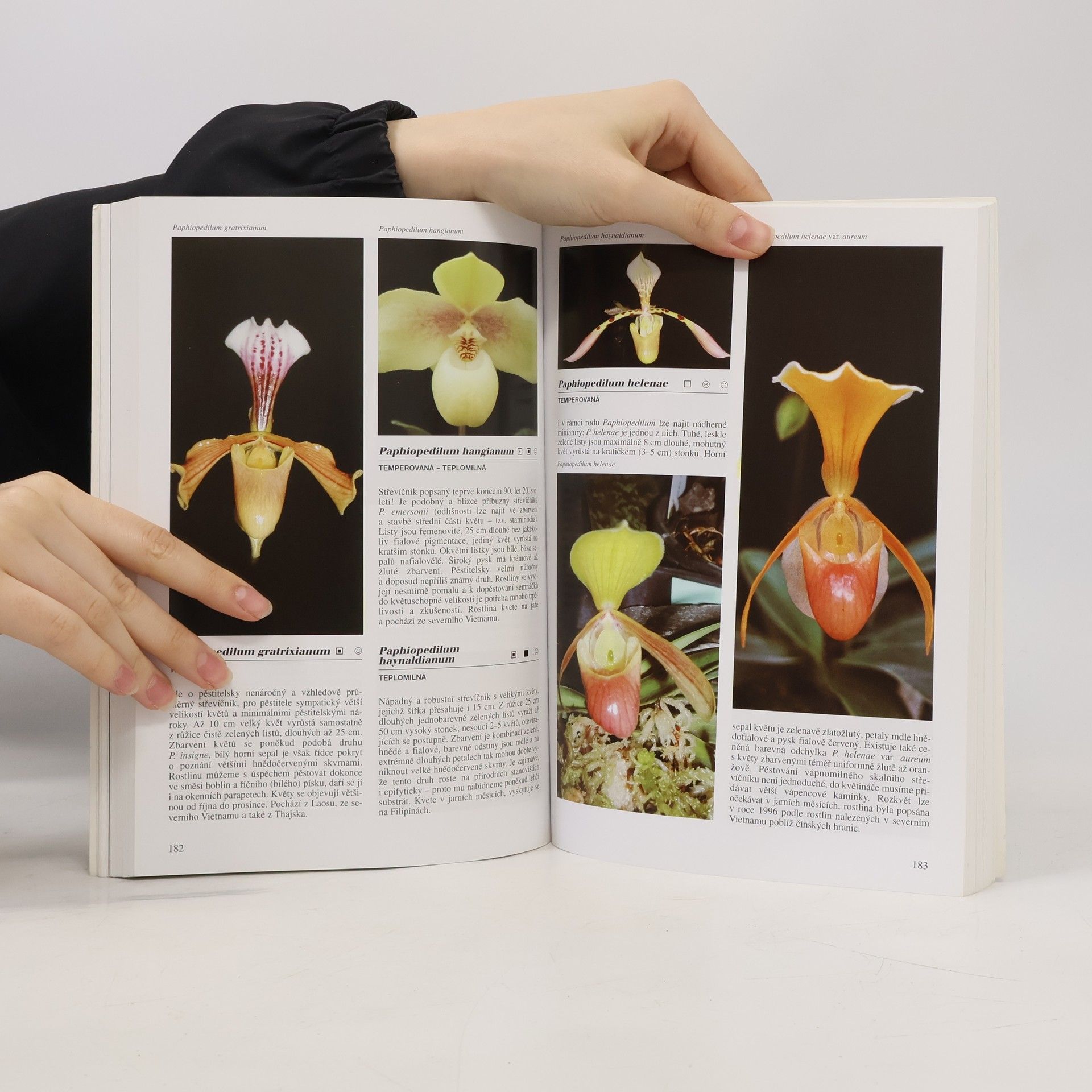 Zdeněk Ježek Encyklopedie - Orchideje