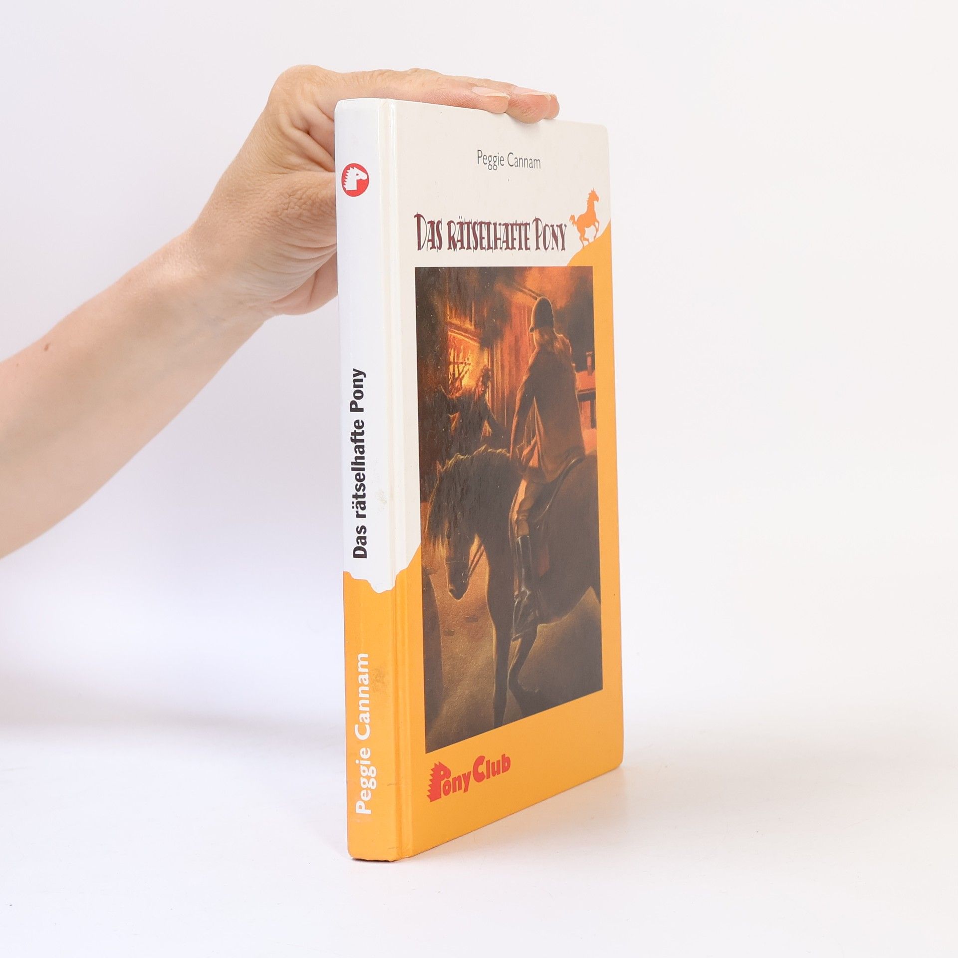Peggie Cannam Das rätselhafte Pony