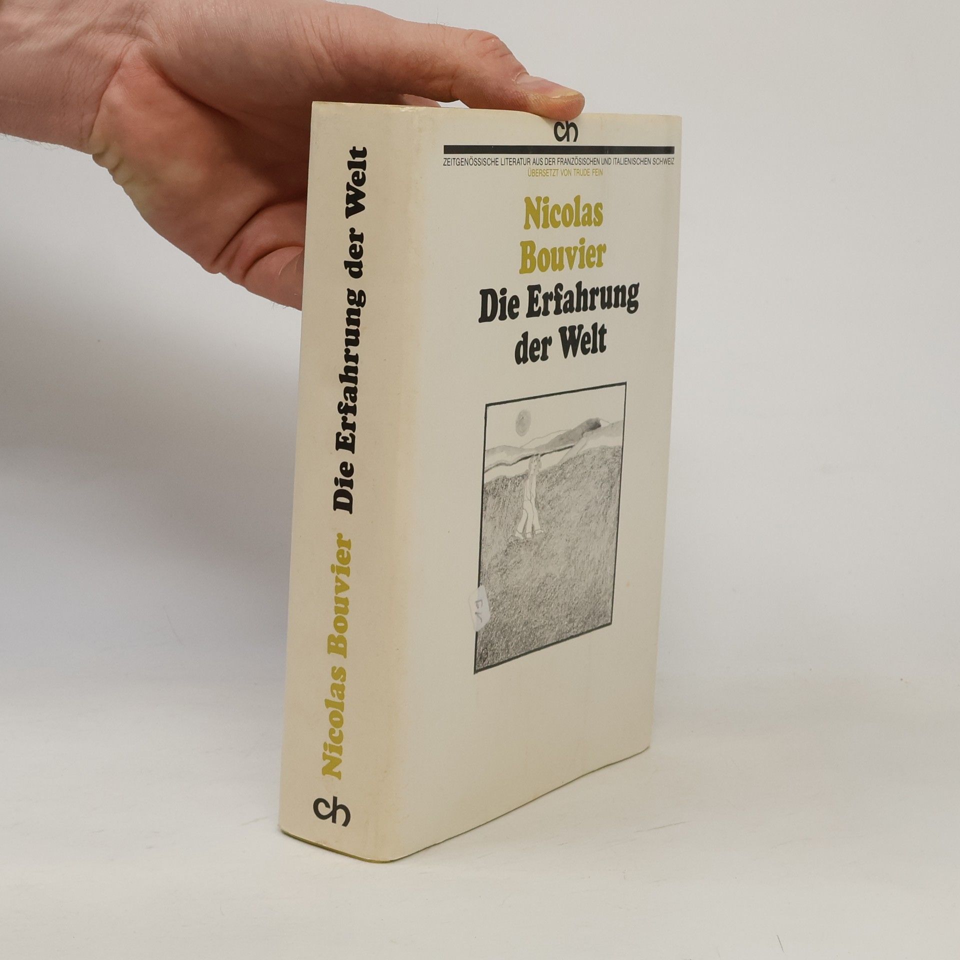 Trude Fein Die Erfahrung der Welt