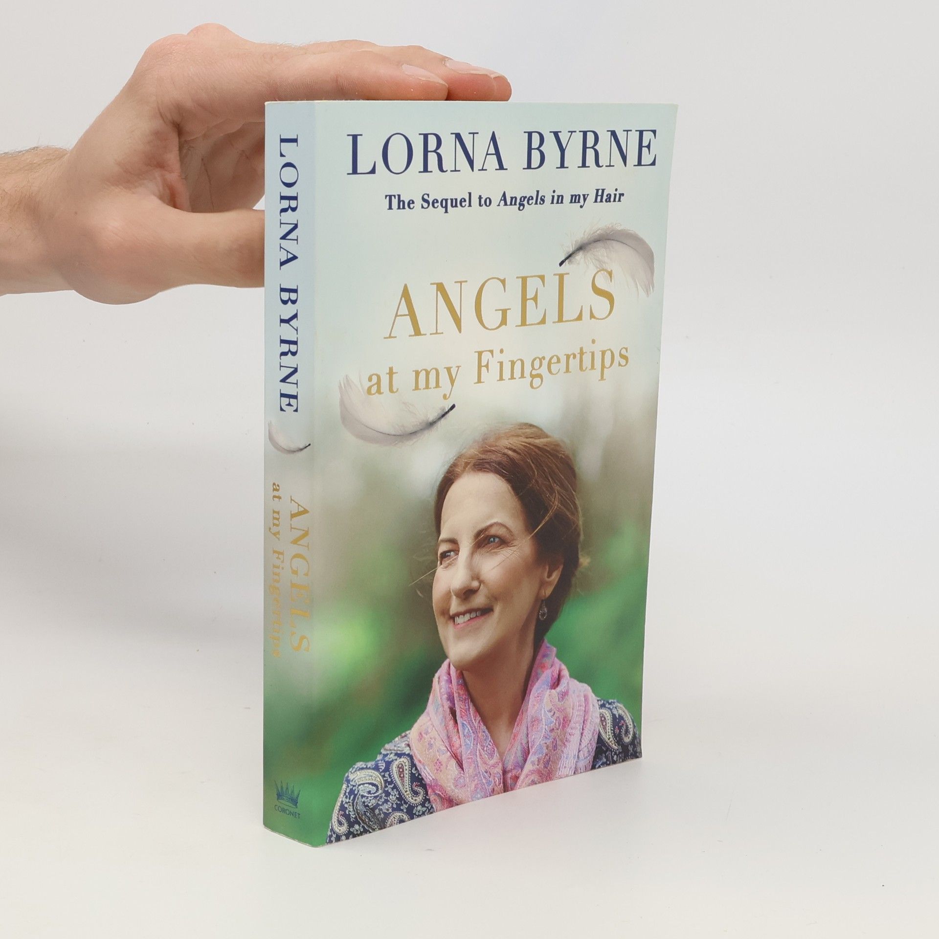 Lorna Byrne Angels at my Fingertips