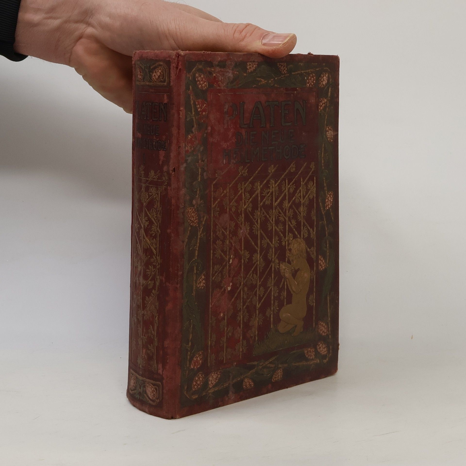 Moritz Platen Die neue Heilmethode 1