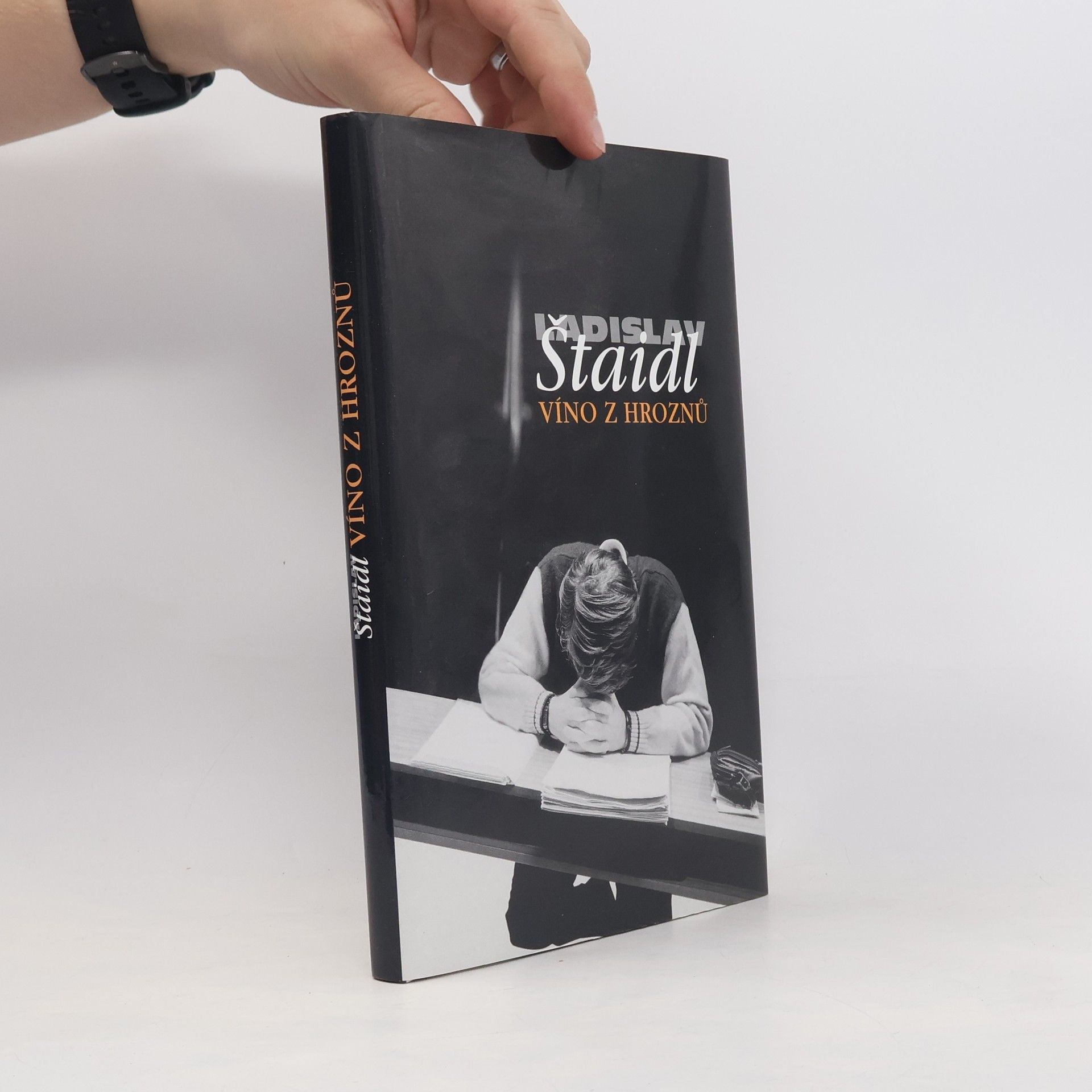Ladislav Štaidl Víno z hroznů