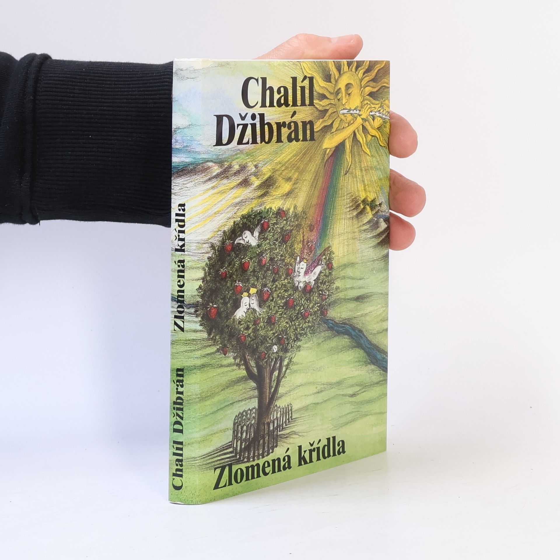 Chalíl Džibrán Zlomená křídla