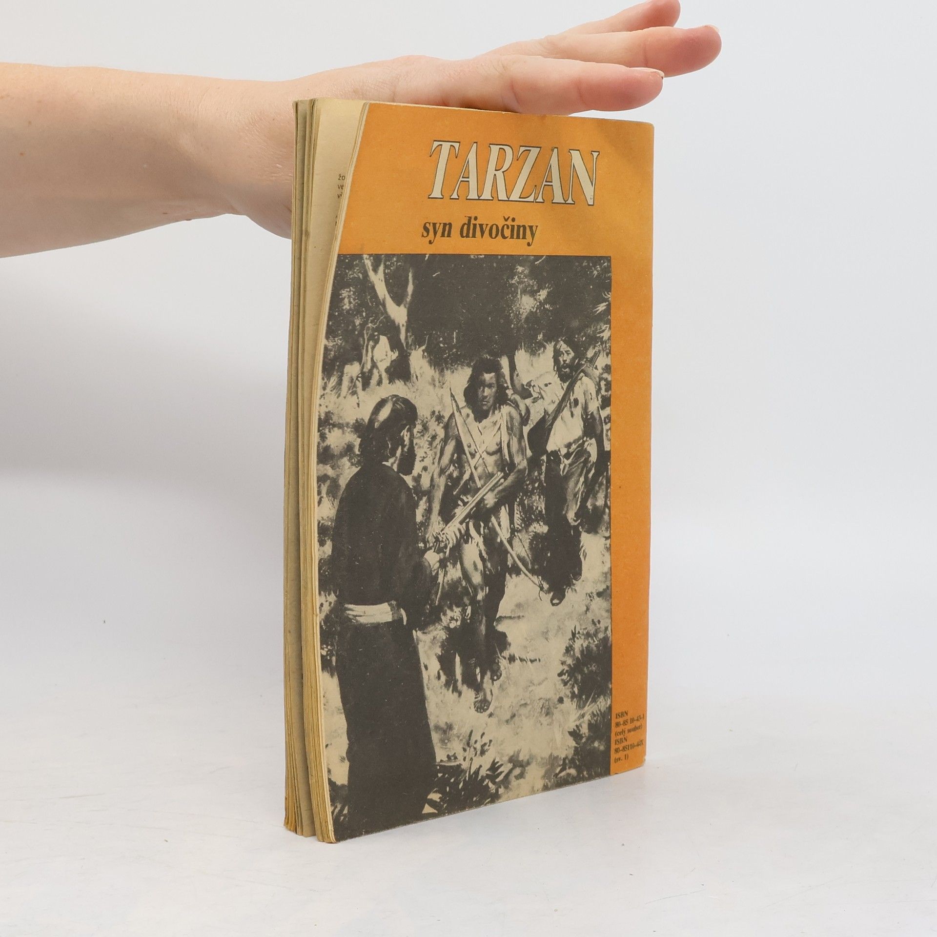 Edgar Rice Burroughs Tarzan syn divočiny