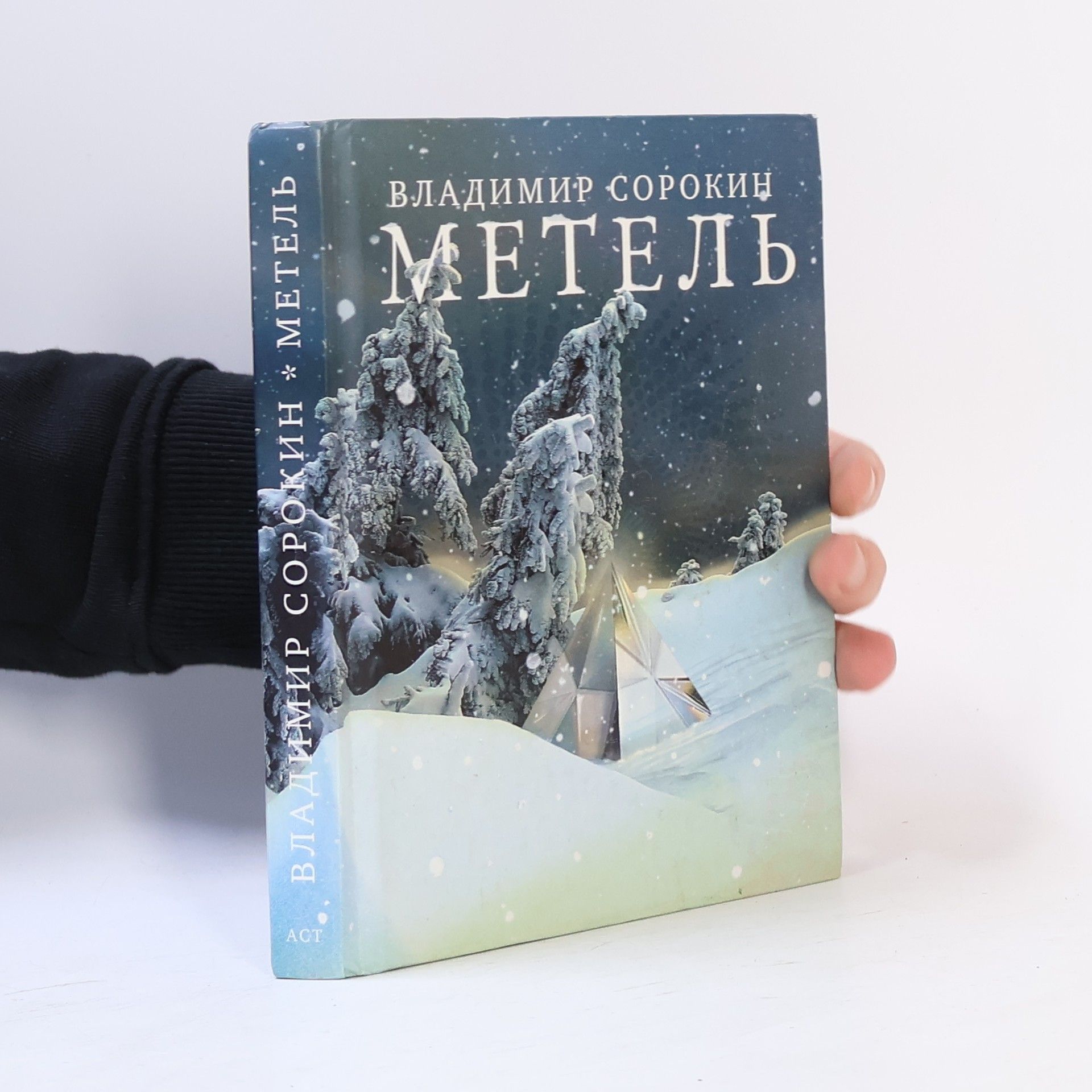 Vladimir Georgijevič Sorokin Метель