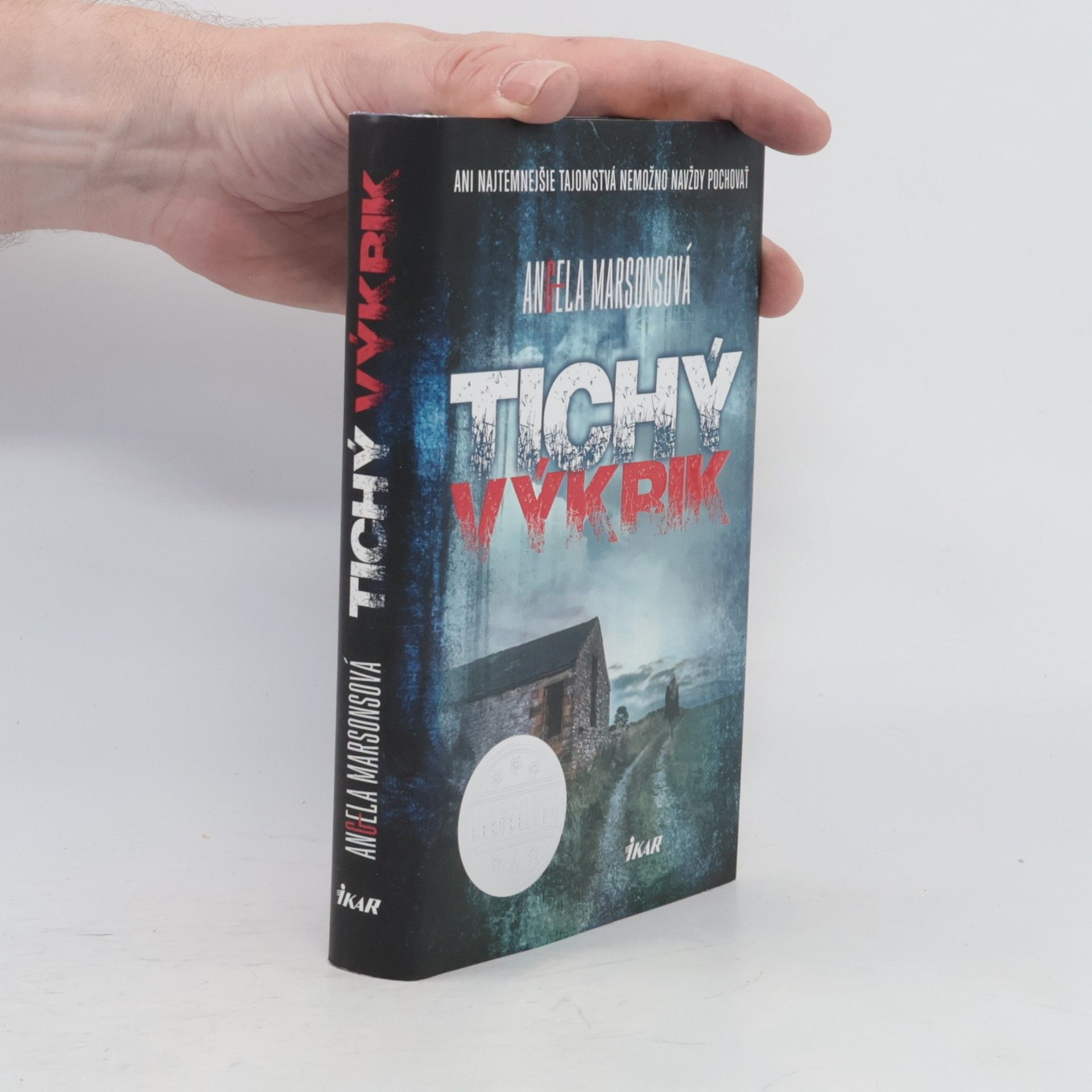 Angela Marsons Tichý výkrik