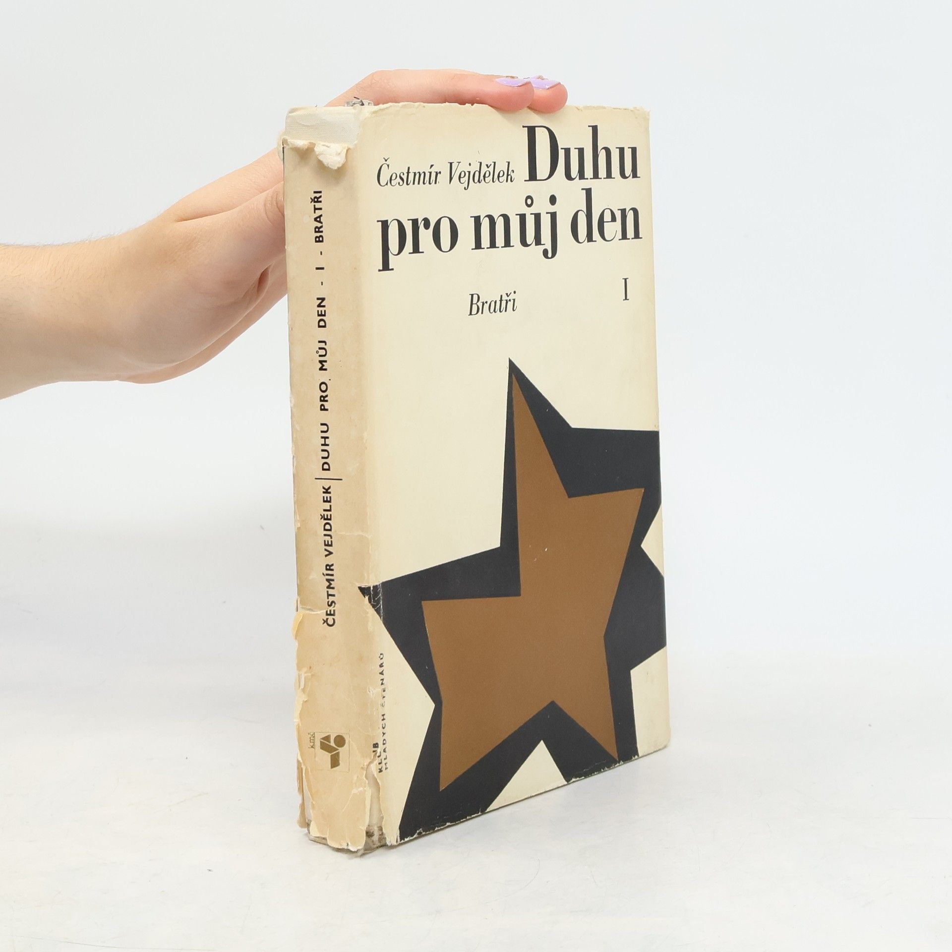 Čestmír Vejdělek Duhu pro můj den I. - Bratři