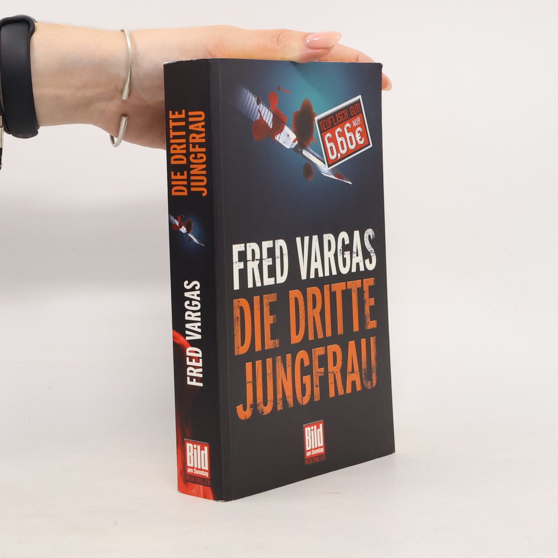 Fred Vargas Die dritte Jungfrau