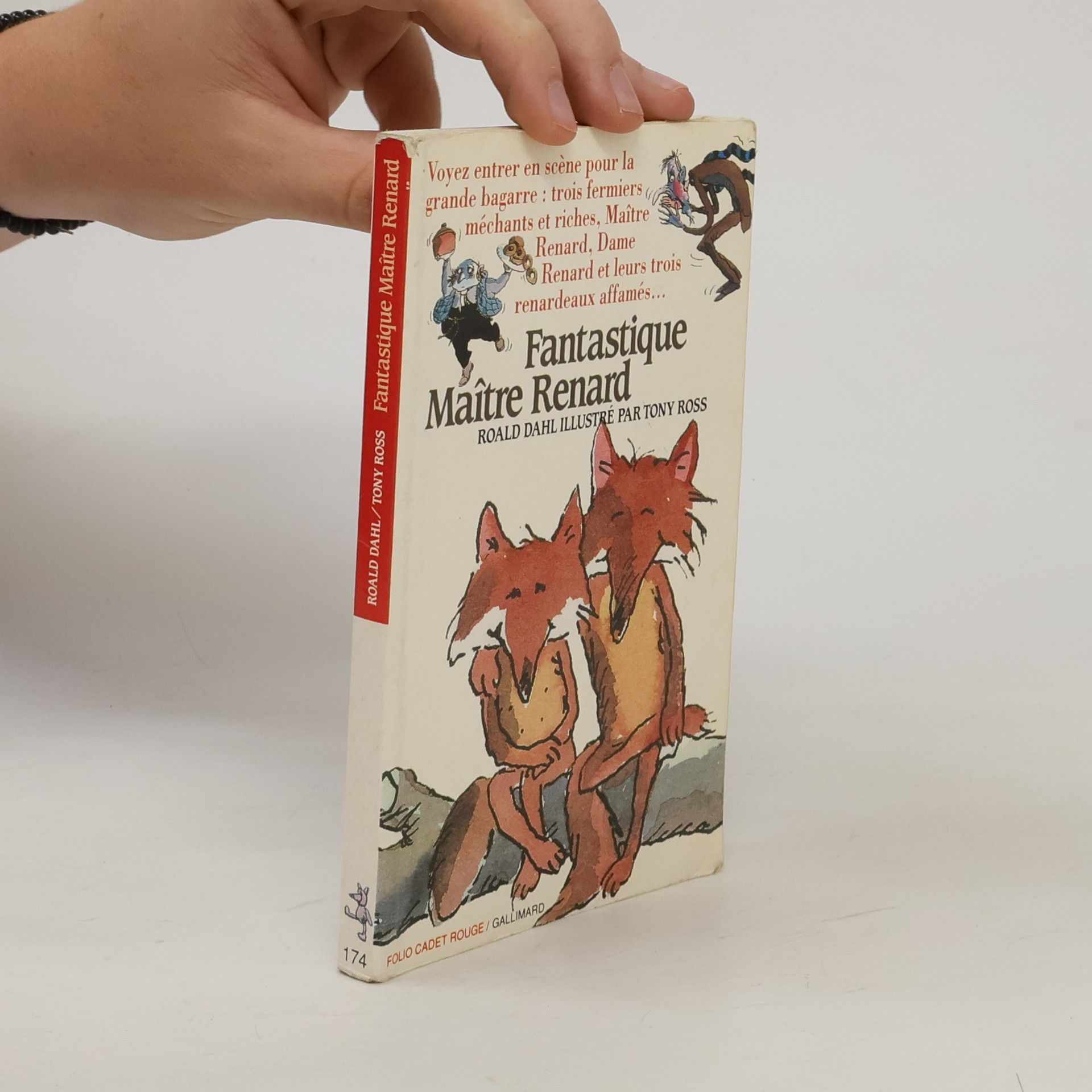 Roald Dahl Folio Cadet Rouge: Fantastique maître Renard