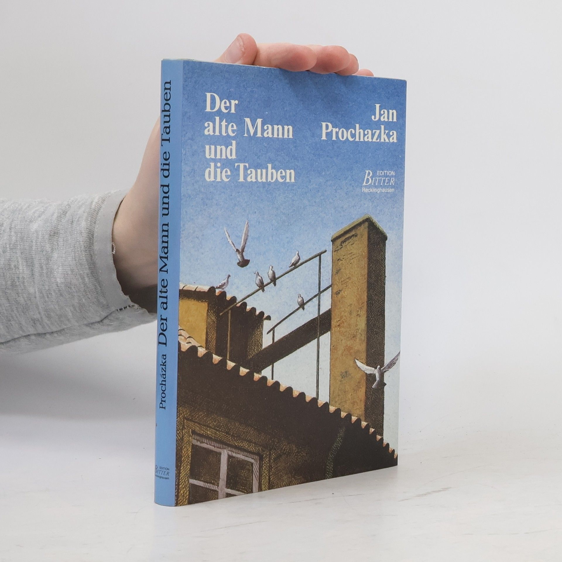 Jan Procházka Der alte Mann und die Tauben