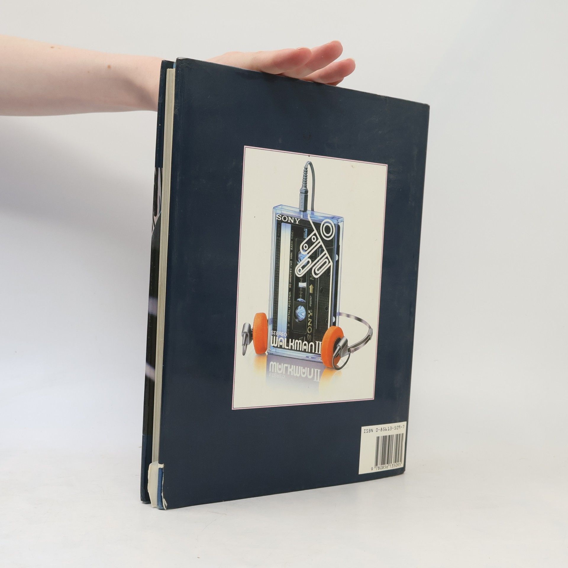 Cecil Misstear The Advanced Air Brush Book