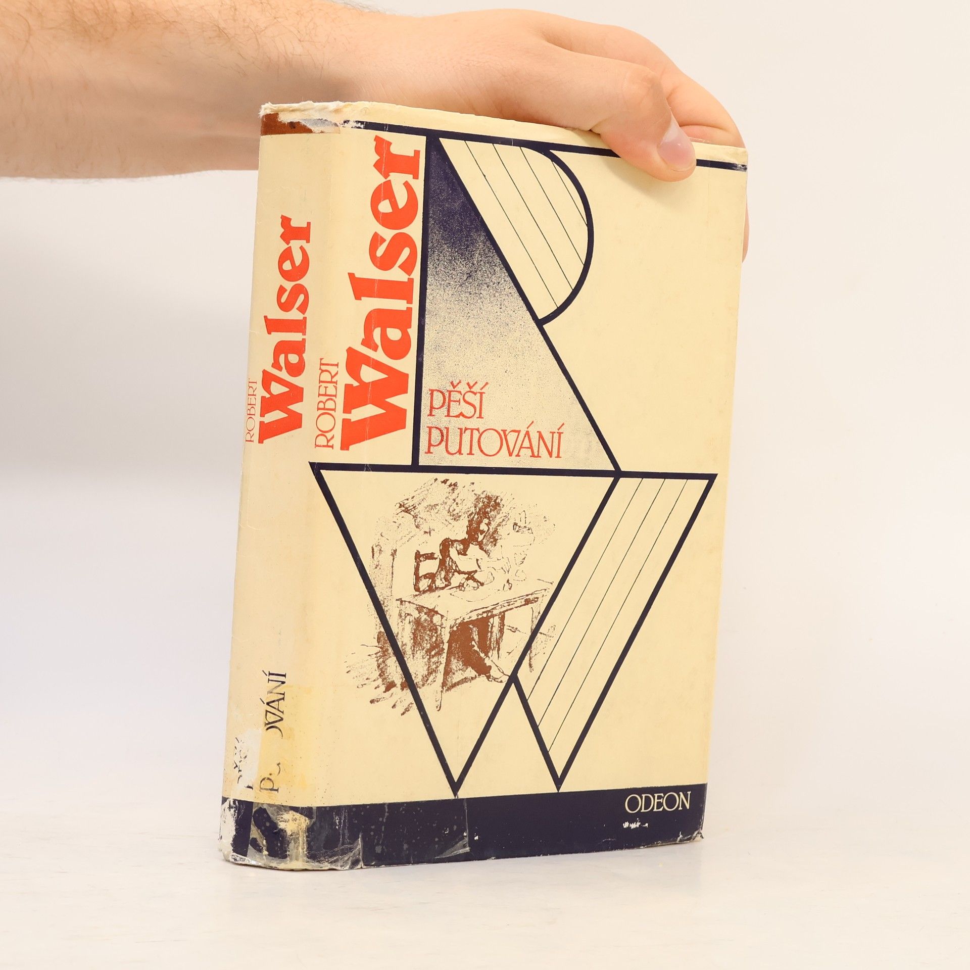Robert Walser Pěší putování