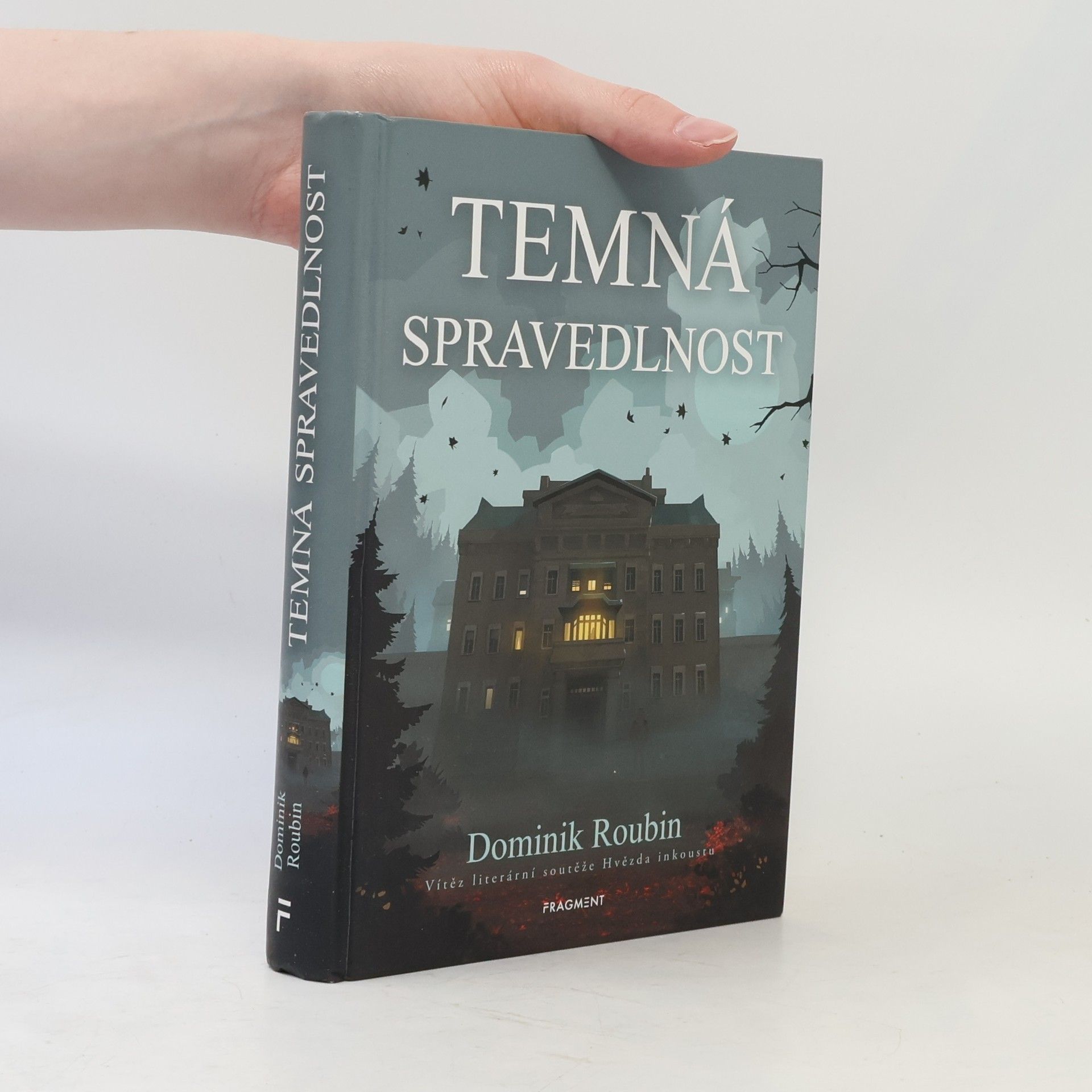 Dominik Roubin Temná spravedlnost