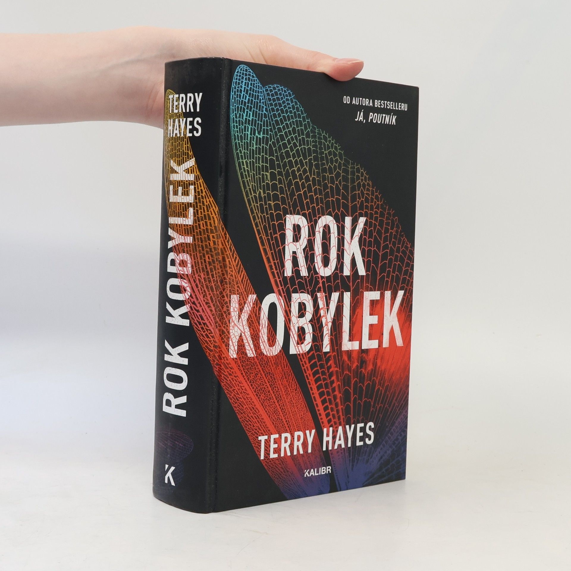 Terry Hayes Rok kobylek