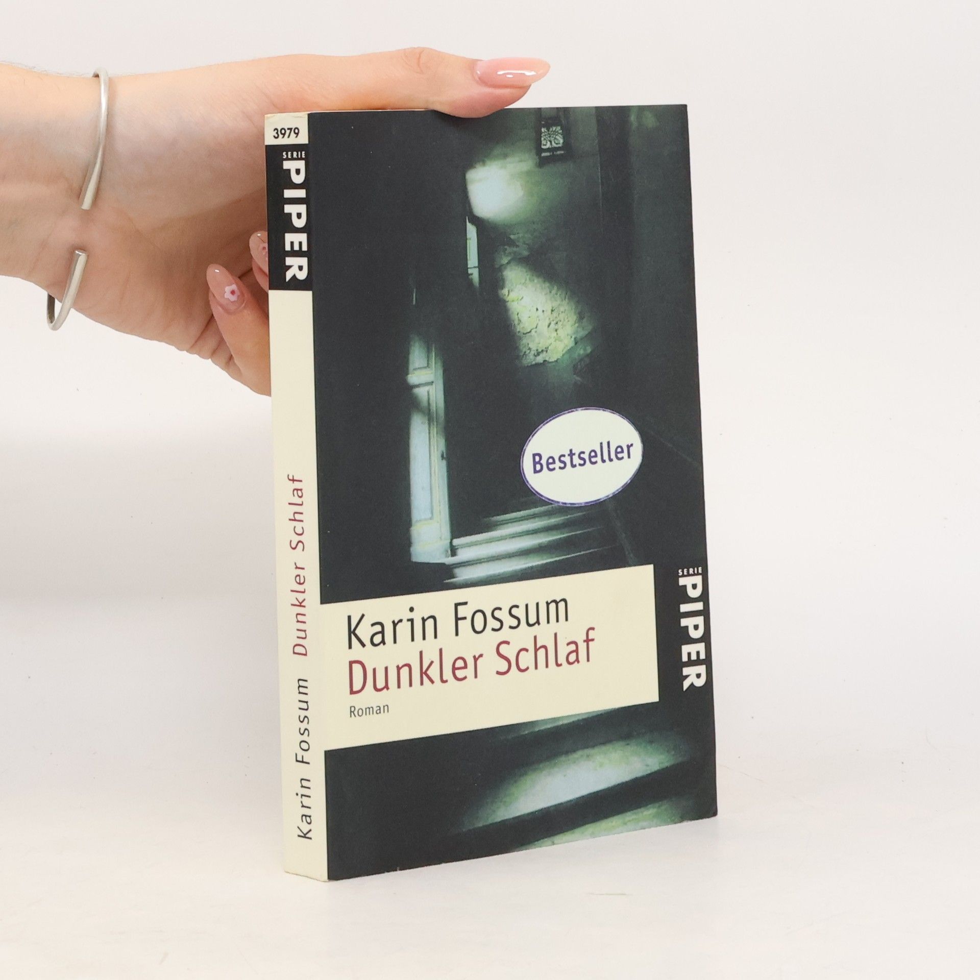 Karin Fossum Dunkler Schlaf