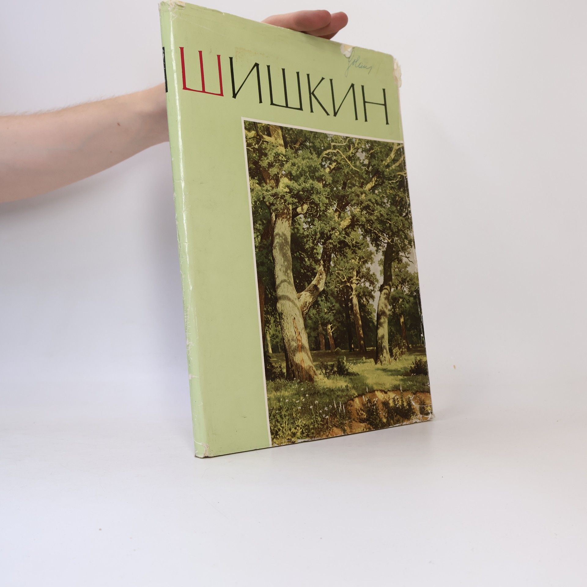Kolektiv autorů Иван Иванович Шишкин