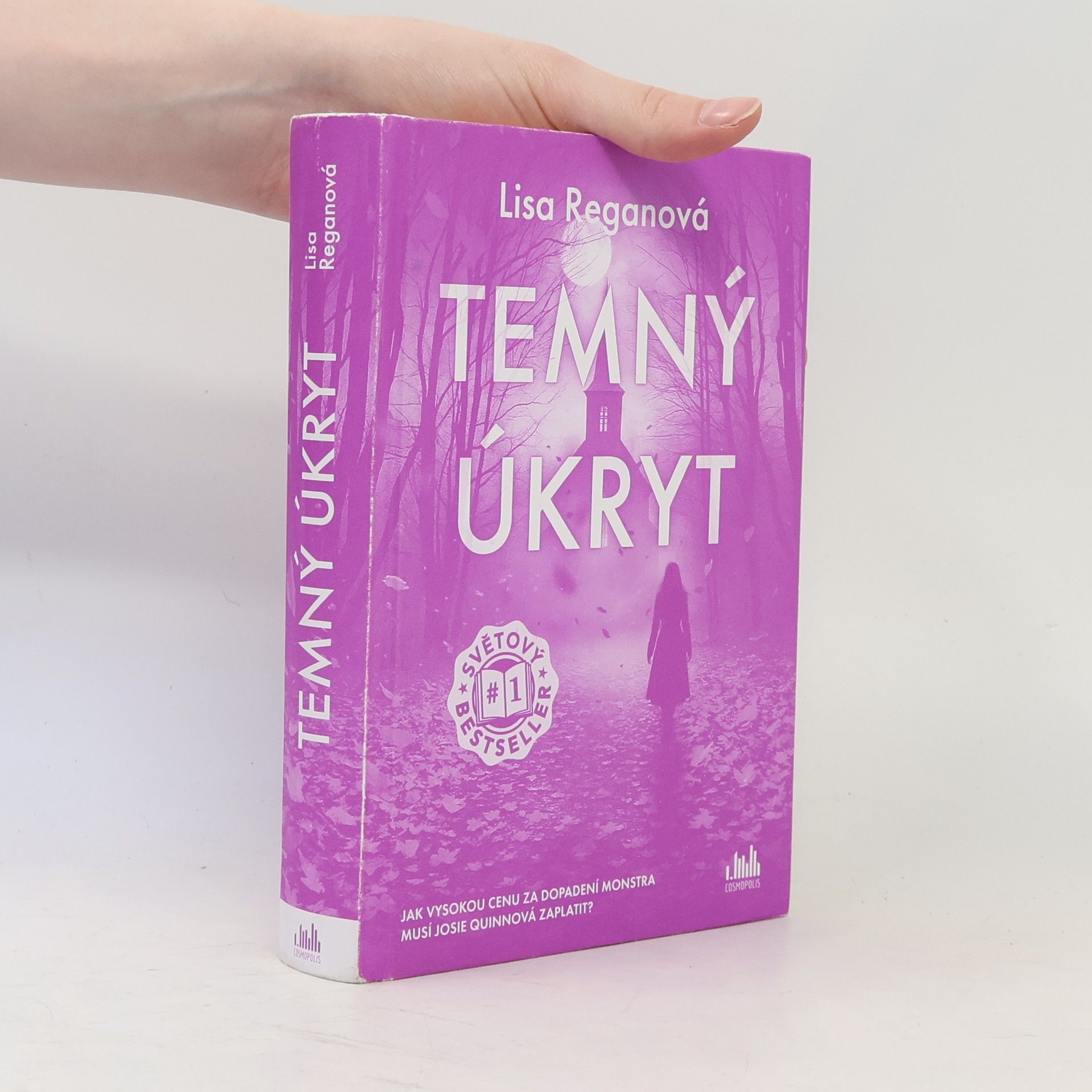 Lisa Regan Temný úkryt