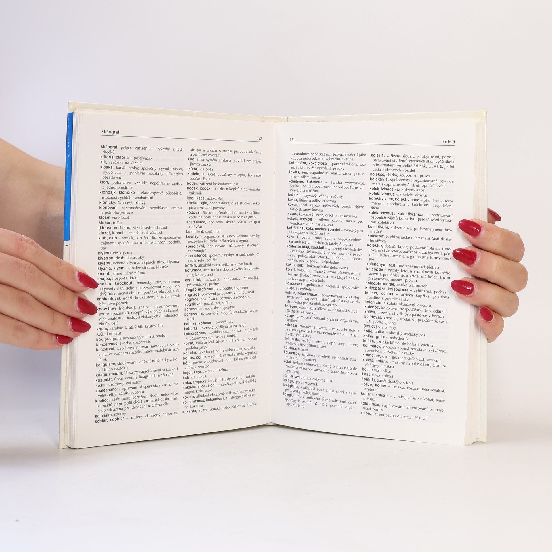 Collectif d'auteurs Slovník cizích slov