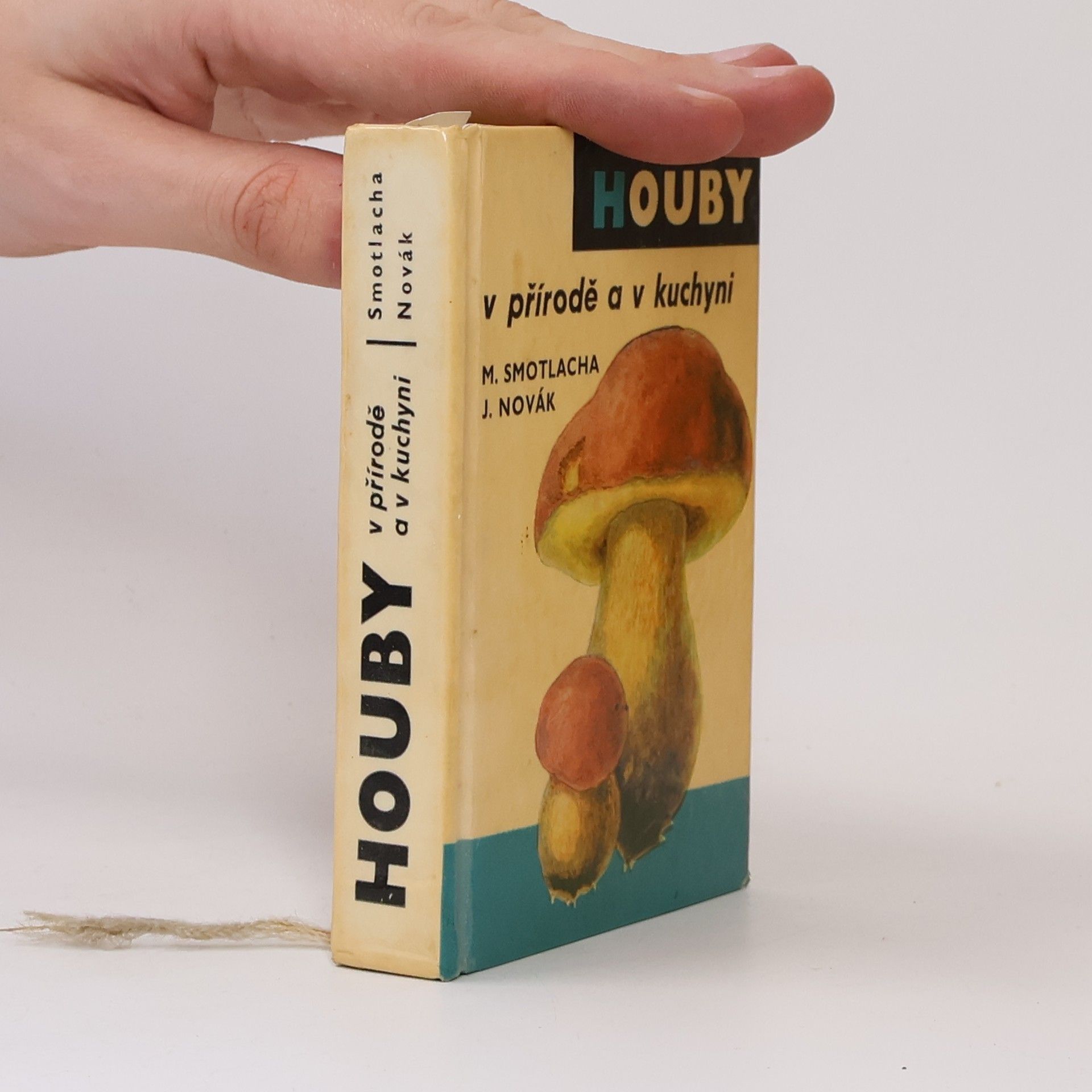 Miroslav Smotlacha Houby v přírodě a v kuchyni