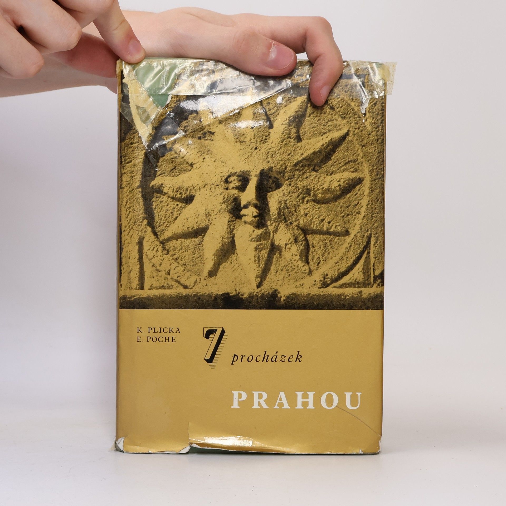 Karel Plicka 7 procházek Prahou